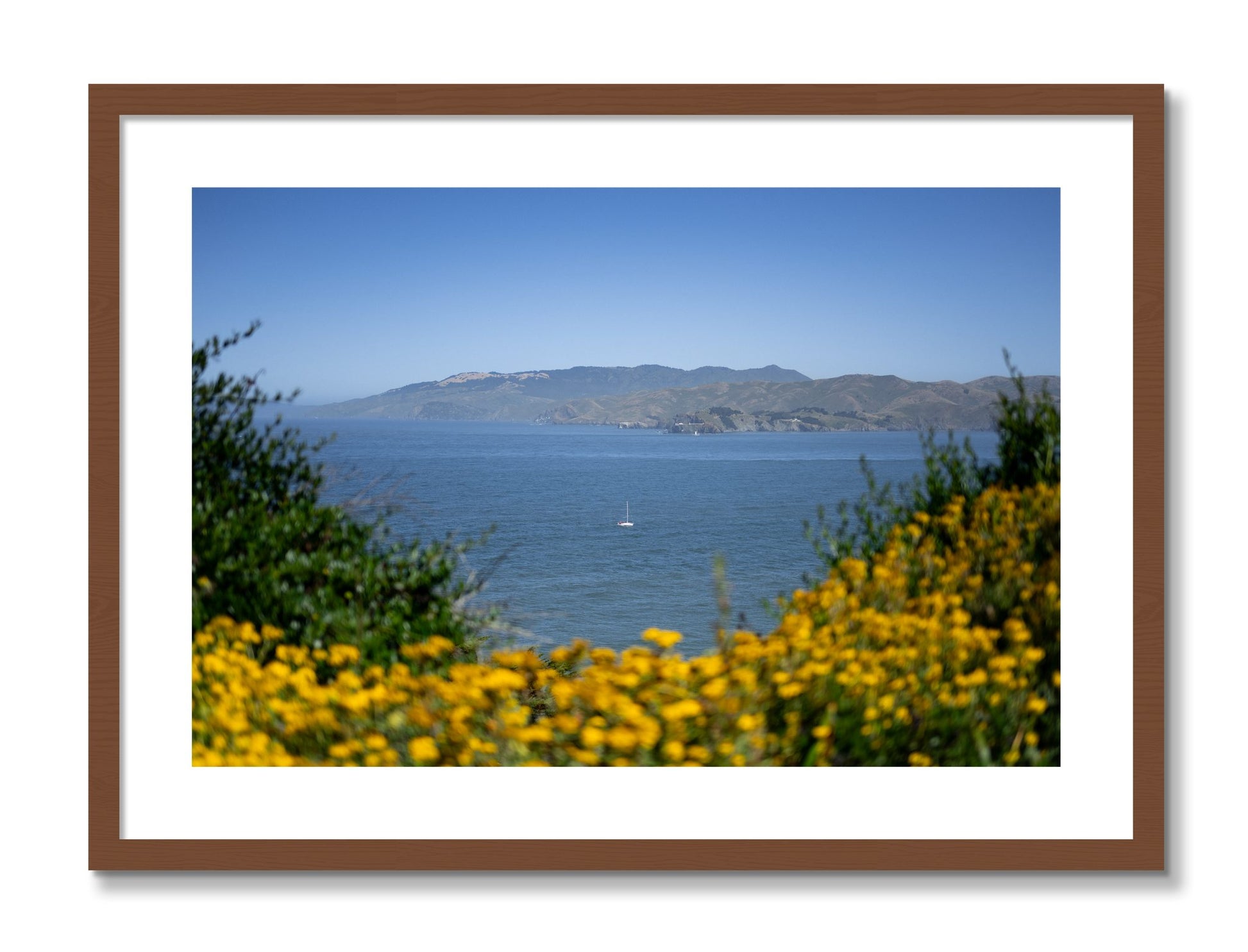 Framed photograph of Golden Bay by Dylan Ozanich, Walnut frame, Borders