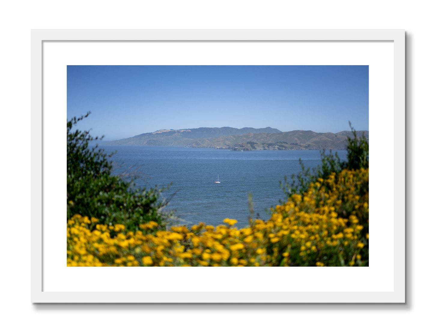 Framed photograph of Golden Bay by Dylan Ozanich, White frame, Borders