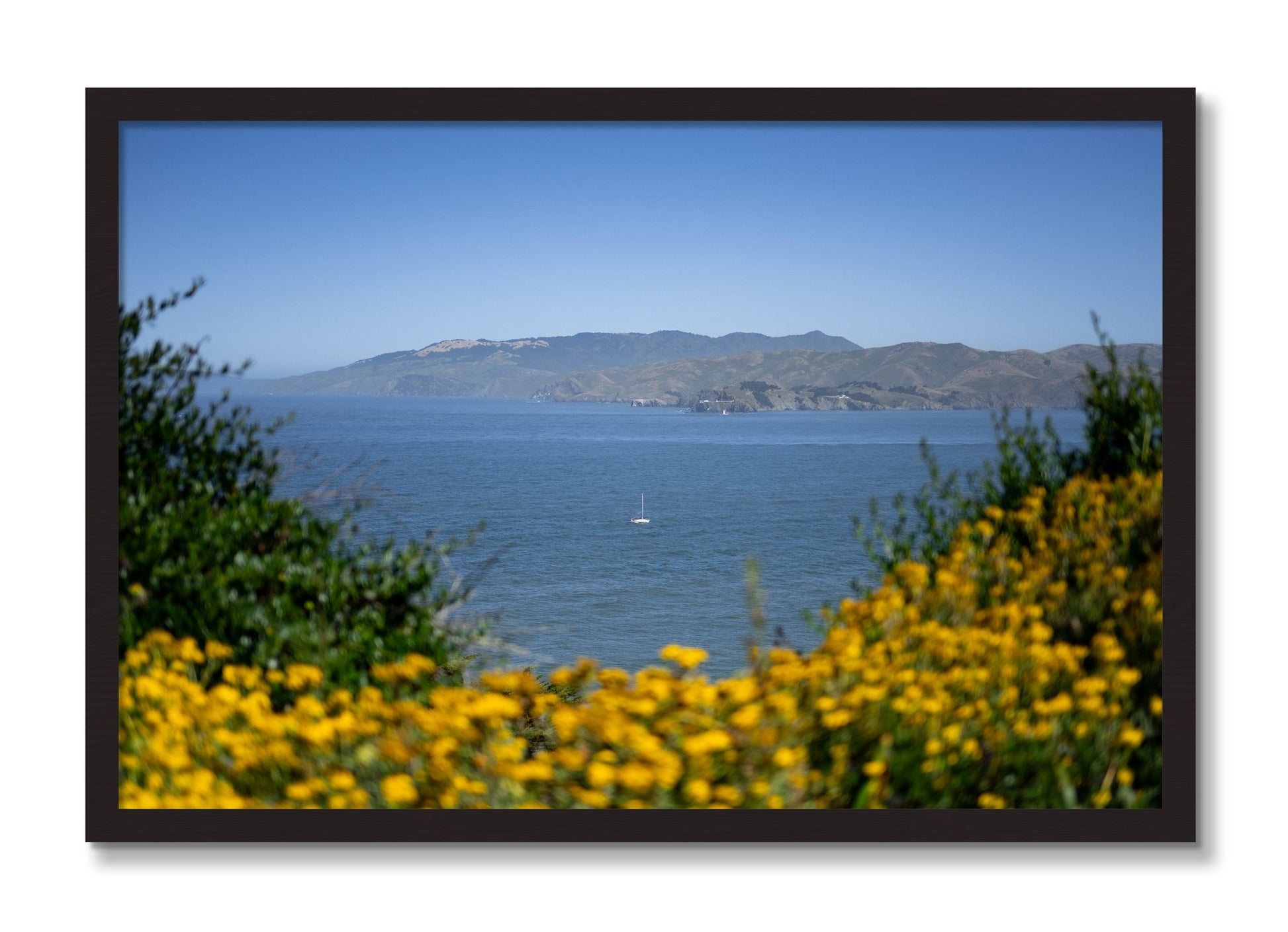 Framed photograph of Golden Bay by Dylan Ozanich, Black Walnut frame, Full Bleed