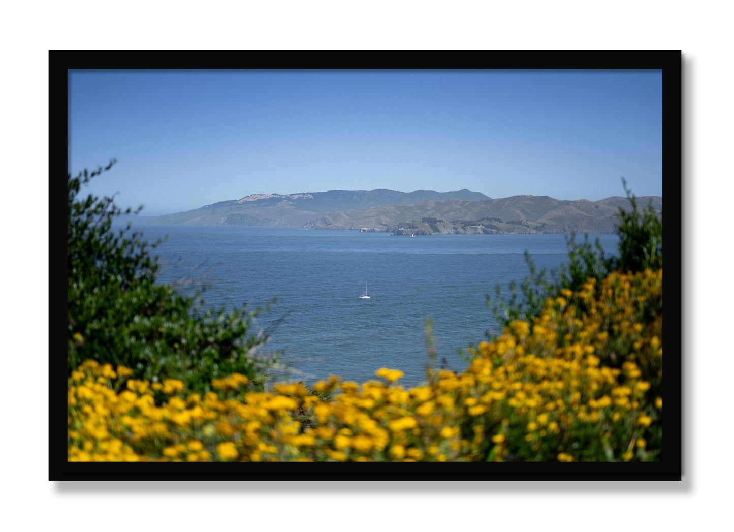 Framed photograph of Golden Bay by Dylan Ozanich, Black frame, Full Bleed