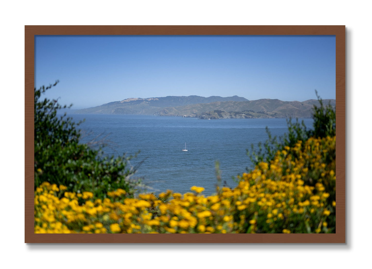 Framed photograph of Golden Bay by Dylan Ozanich, Walnut frame, Full Bleed