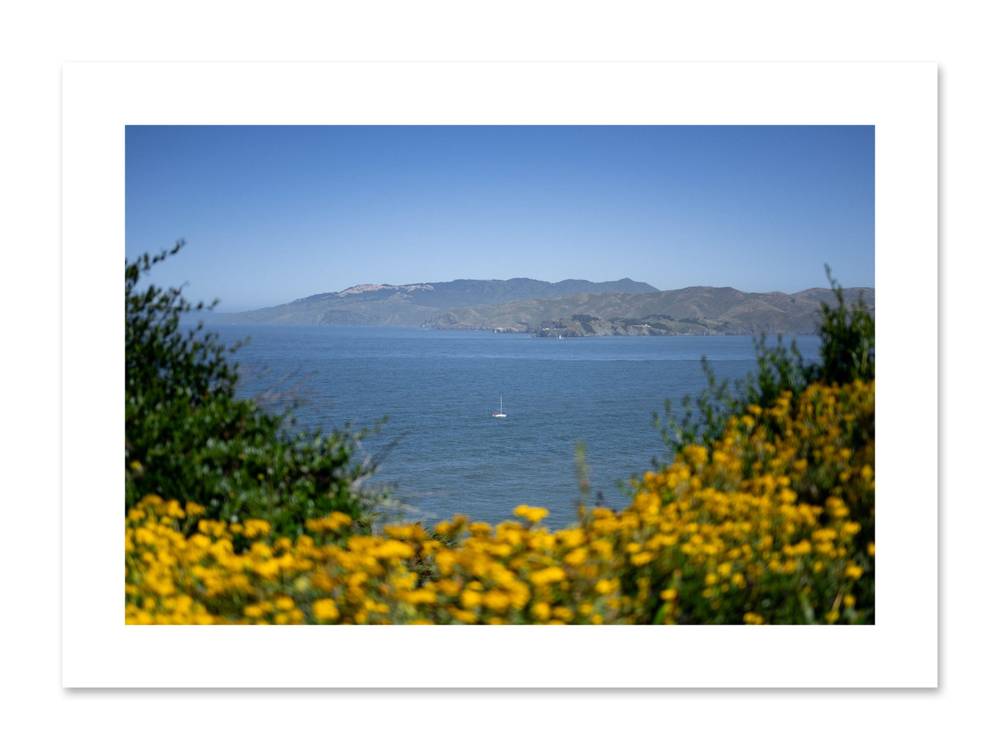 Fine art print of Golden Bay by Dylan Ozanich, unframed