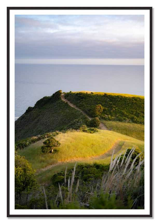 Golden Trail by Dylan Ozanich, 48×72 print with a White Border in a Black Walnut frame