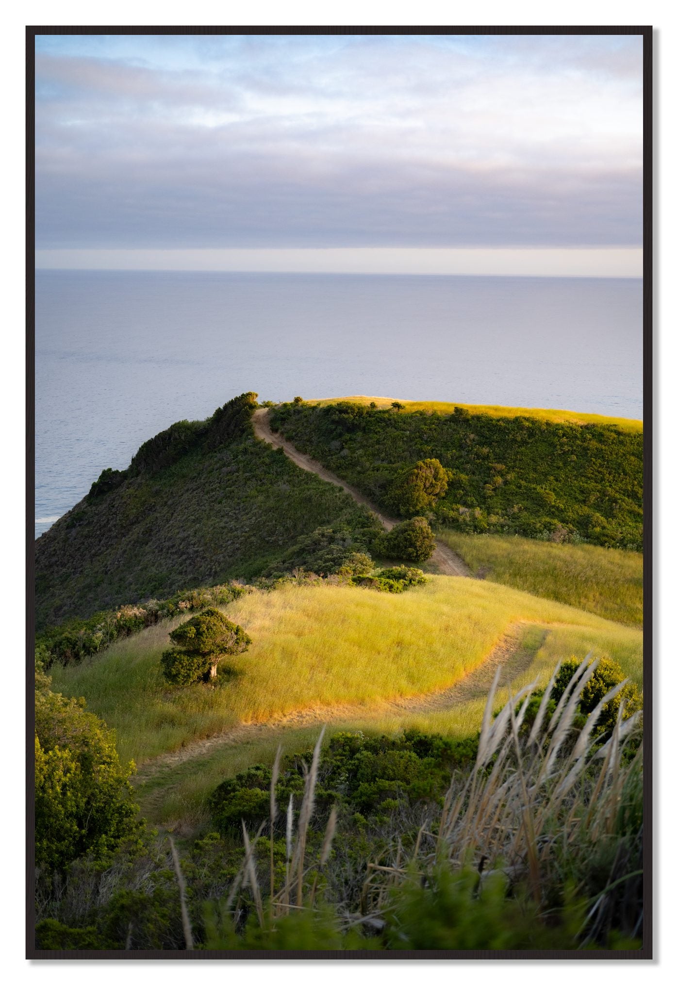 Golden Trail by Dylan Ozanich, 48×72 Full Bleed Print in a Black Walnut frame