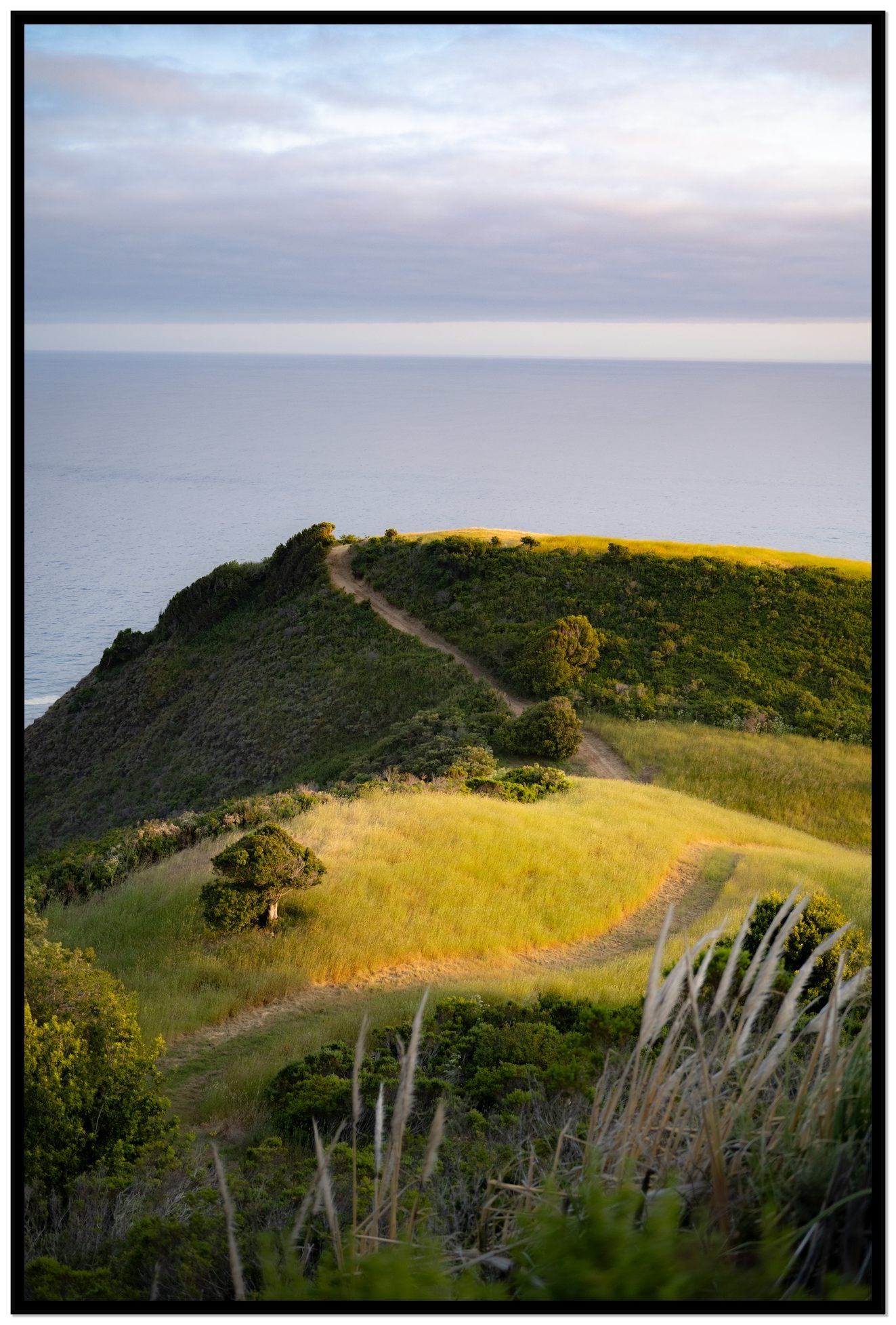Golden Trail by Dylan Ozanich, 48×72 Full Bleed Print in a Black frame