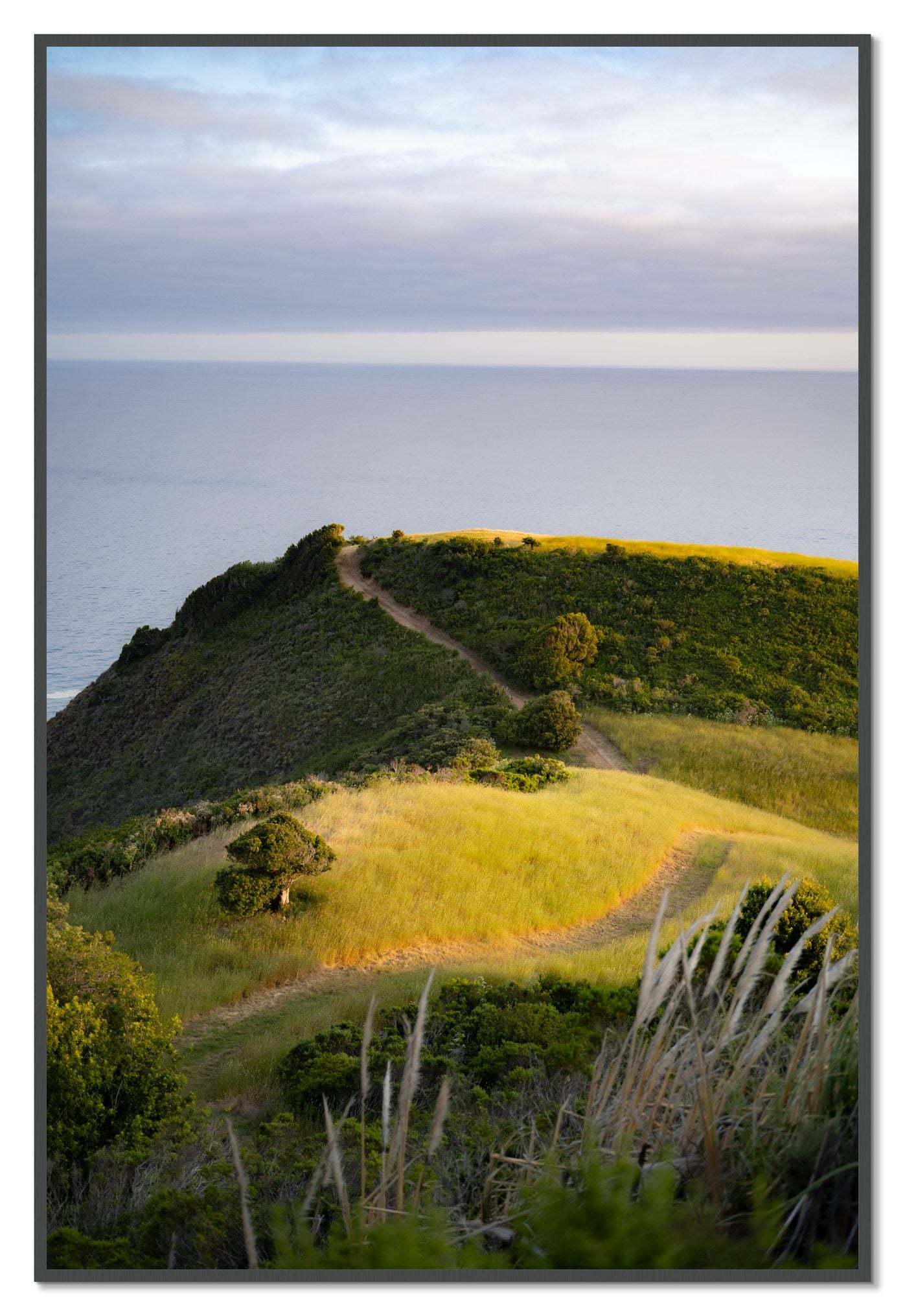 Golden Trail by Dylan Ozanich, 48×72 Full Bleed Print in a Grey frame