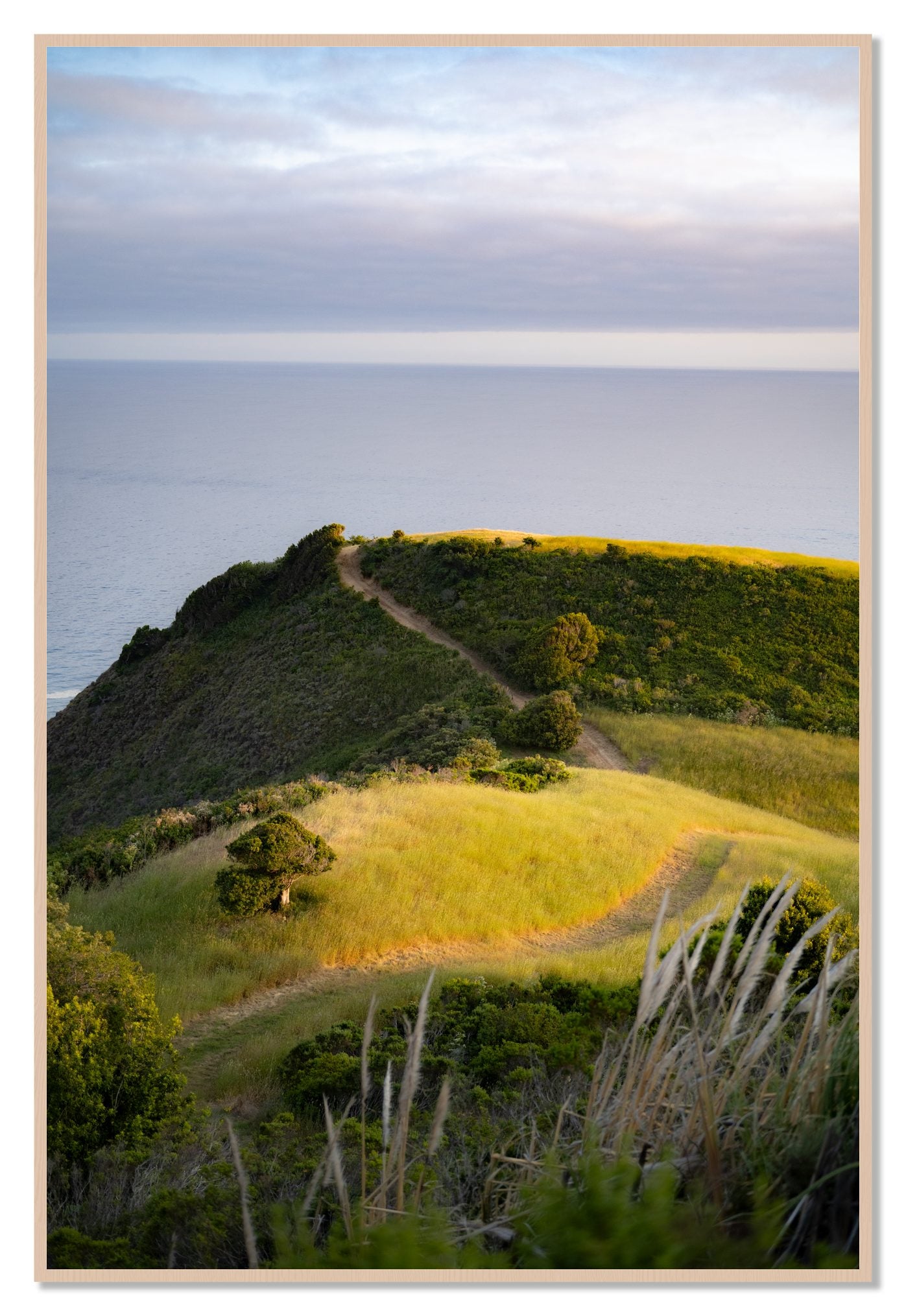 Golden Trail by Dylan Ozanich, 48×72 Full Bleed Print in a Maple frame