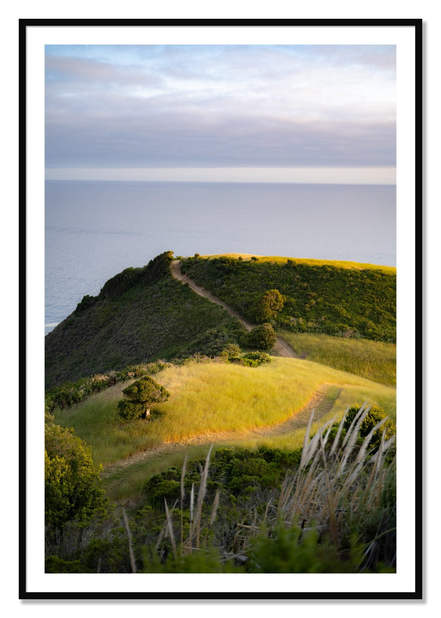 Framed photograph of Golden Trail by Dylan Ozanich, Black frame, Borders