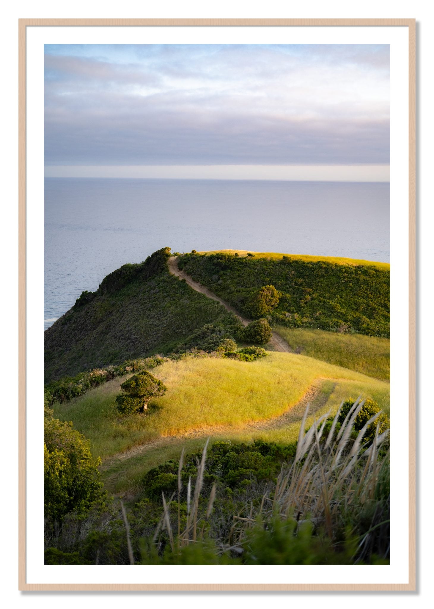 Framed photograph of Golden Trail by Dylan Ozanich, Maple frame, Borders