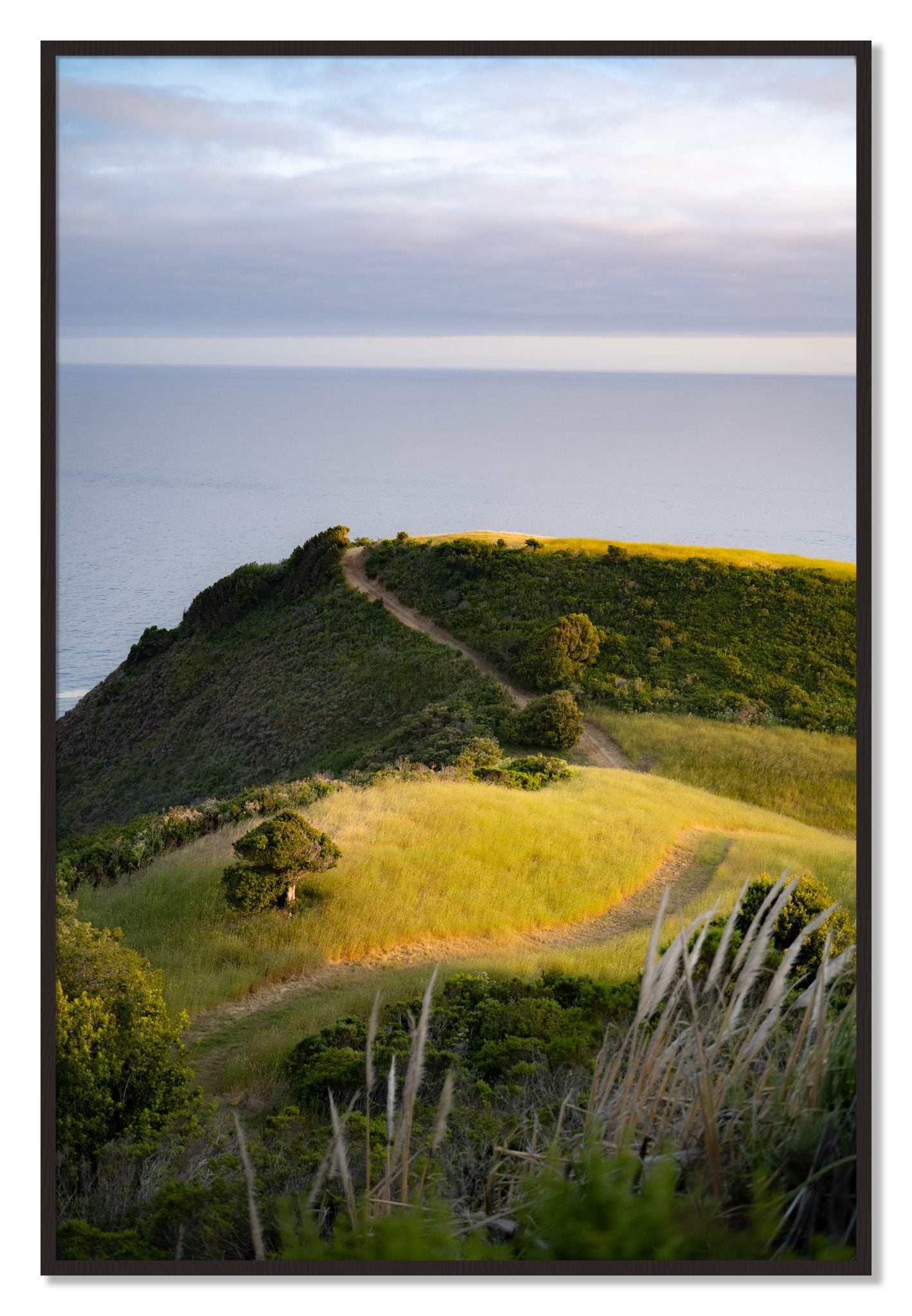 Framed photograph of Golden Trail by Dylan Ozanich, Black Walnut frame, Full Bleed