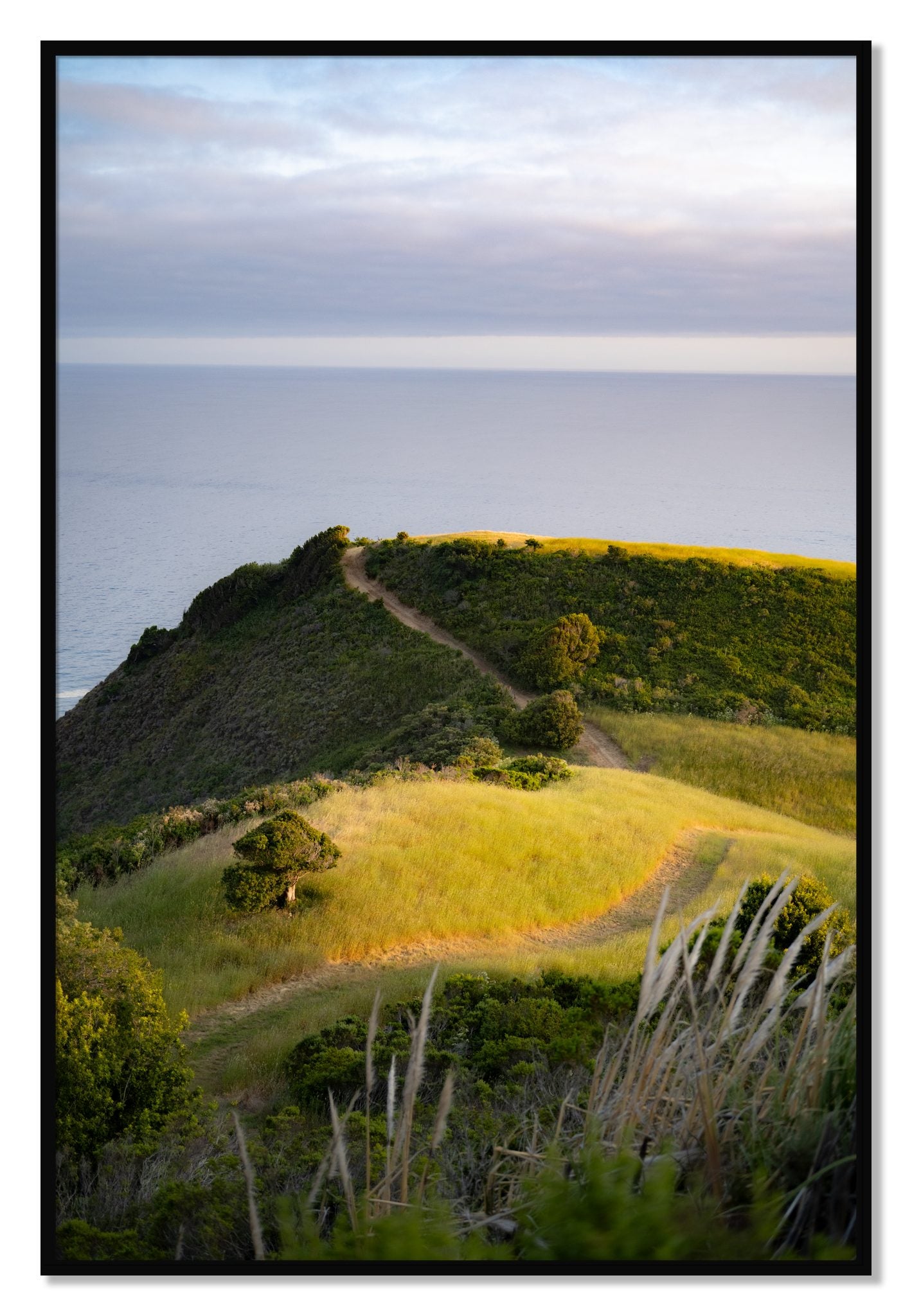Framed photograph of Golden Trail by Dylan Ozanich, Black frame, Full Bleed
