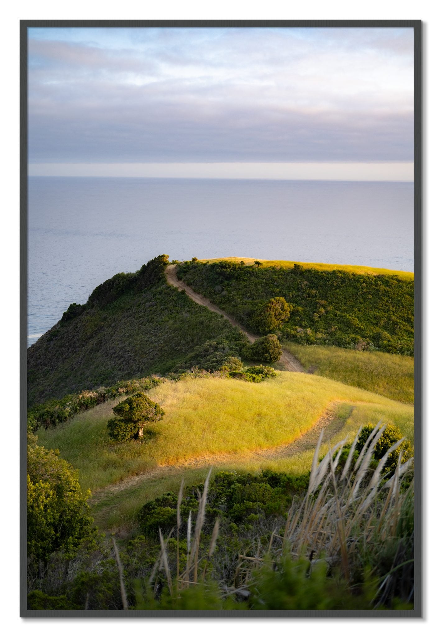Framed photograph of Golden Trail by Dylan Ozanich, Grey frame, Full Bleed