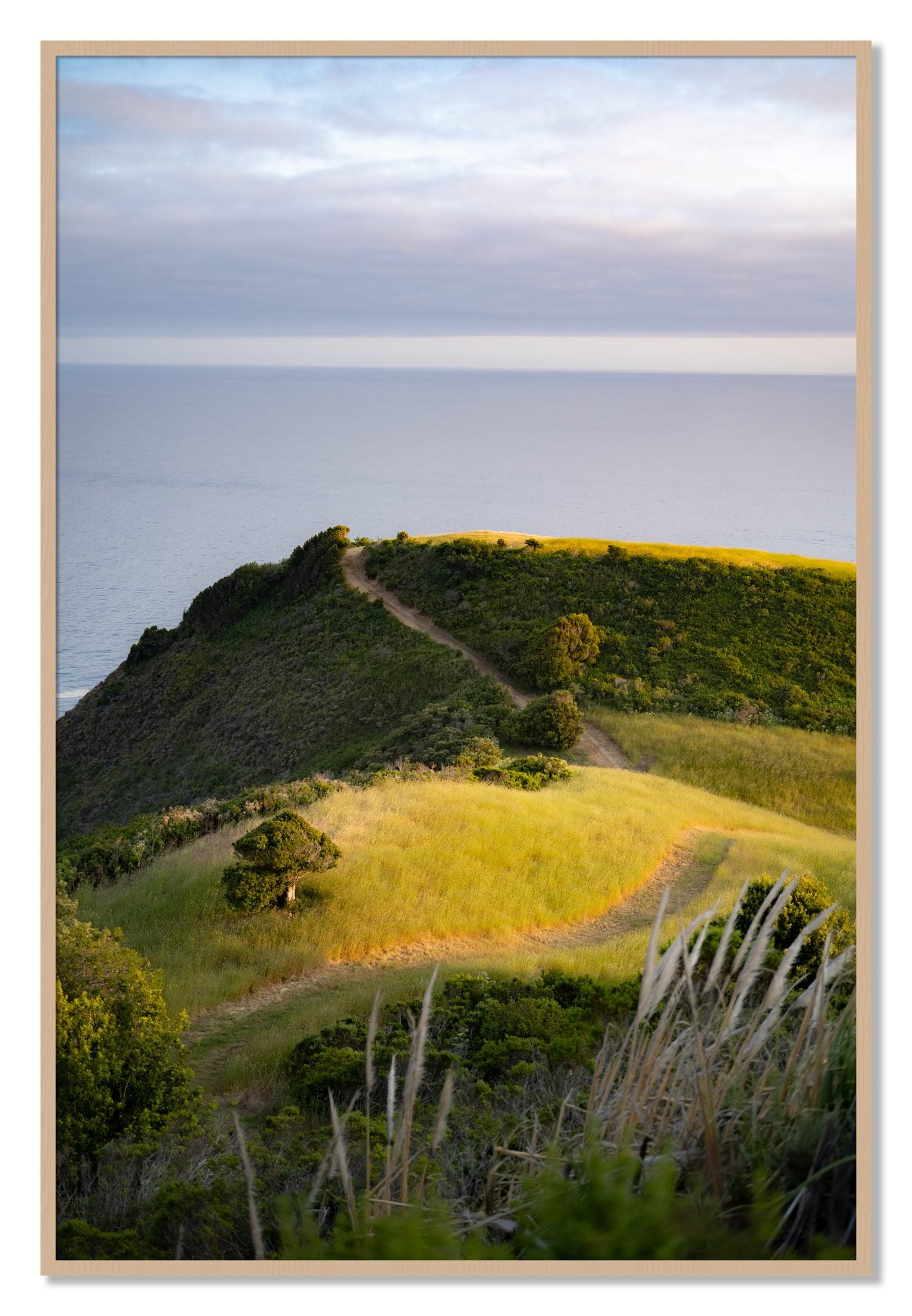 Framed photograph of Golden Trail by Dylan Ozanich, Oak frame, Full Bleed
