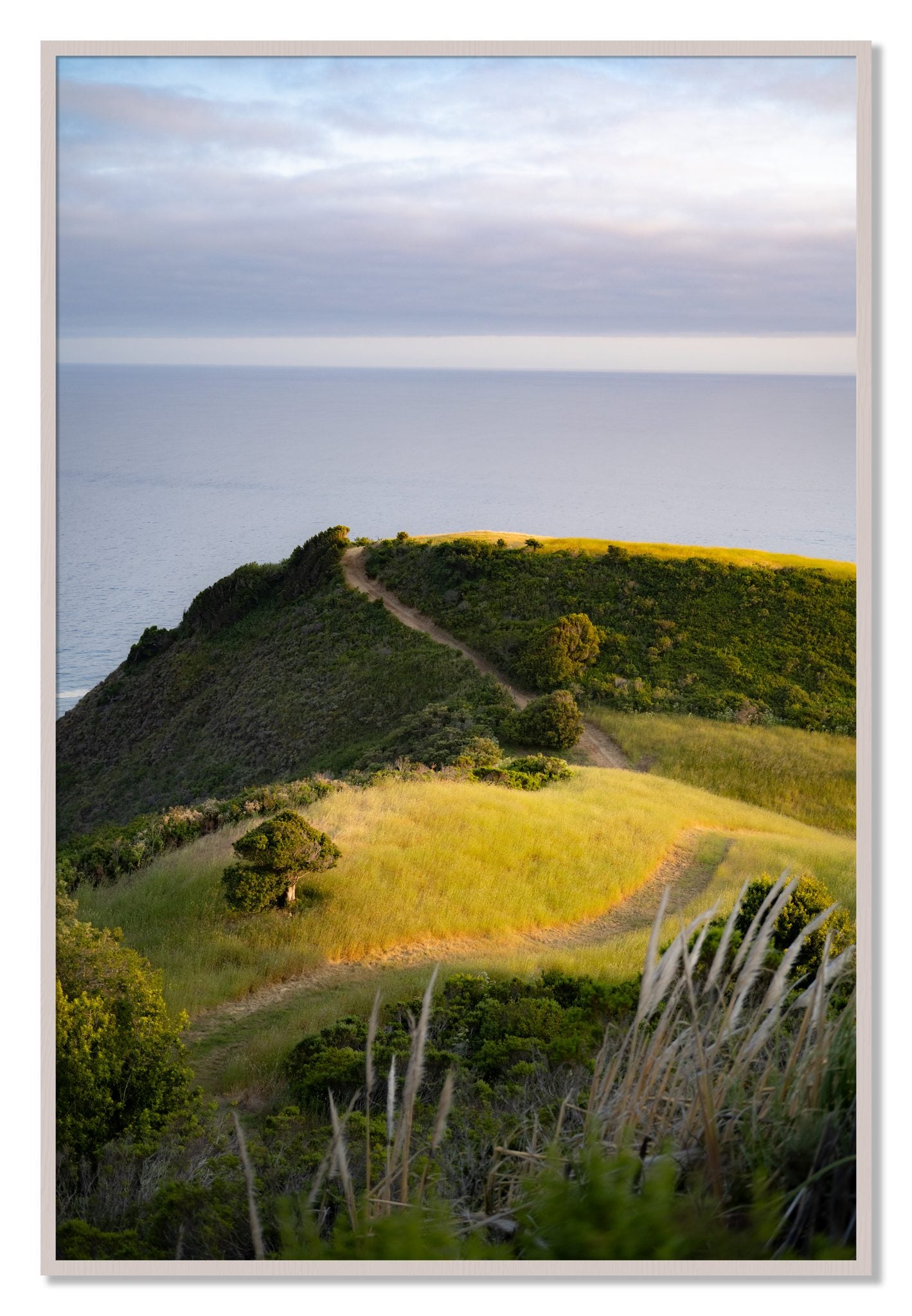 Framed photograph of Golden Trail by Dylan Ozanich, White Maple frame, Full Bleed