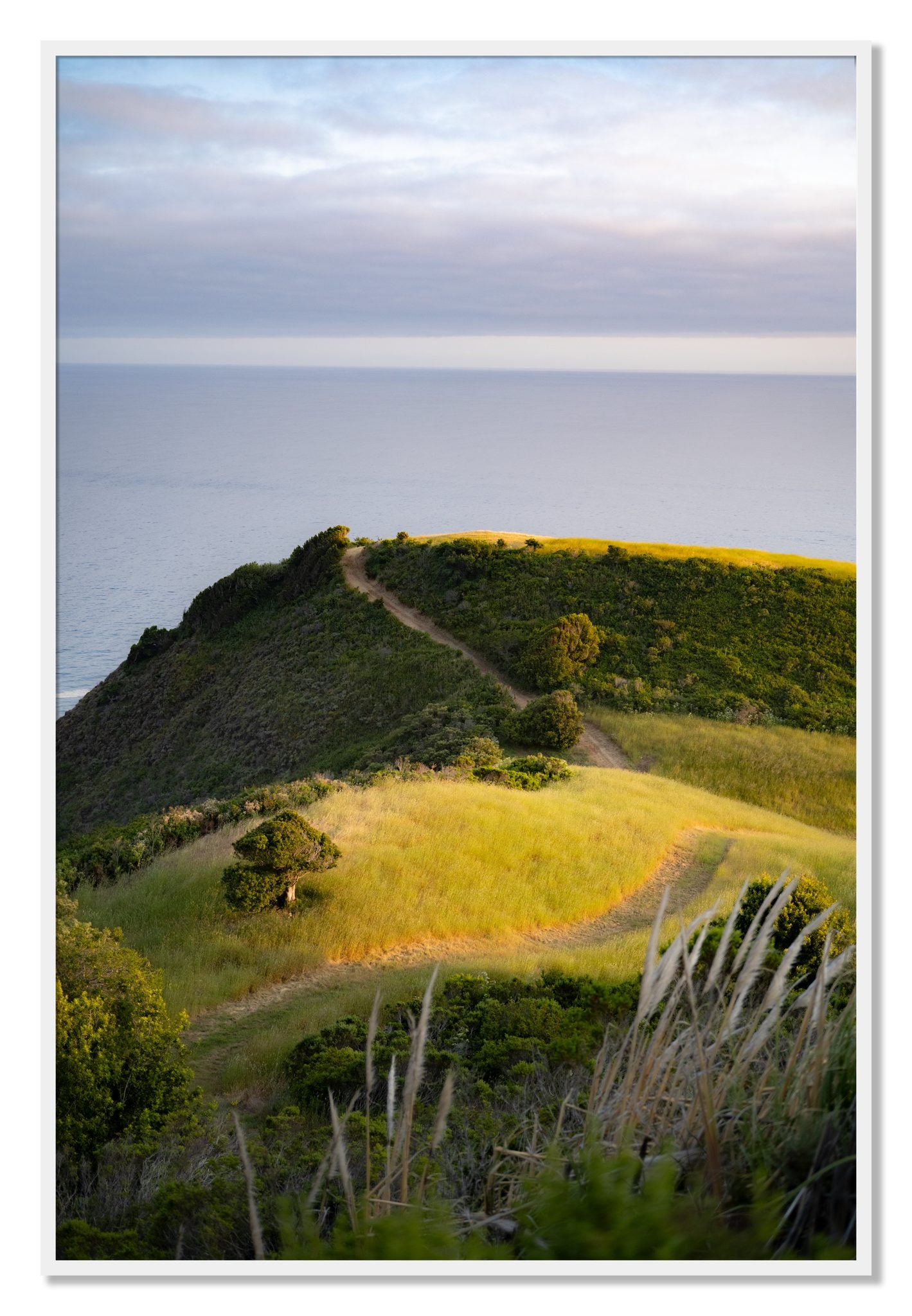 Framed photograph of Golden Trail by Dylan Ozanich, White frame, Full Bleed