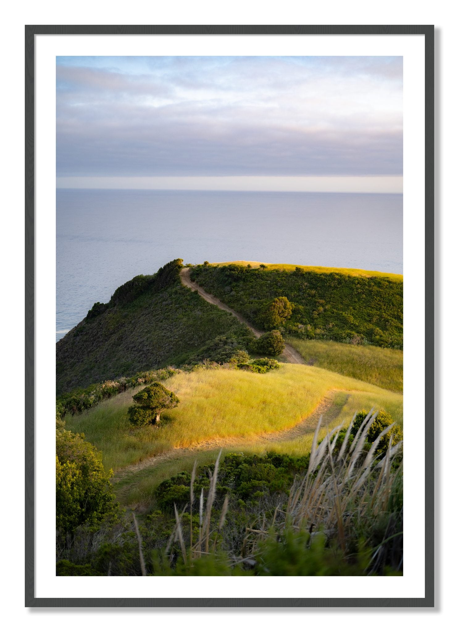 Framed photograph of Golden Trail by Dylan Ozanich, Grey frame, Borders