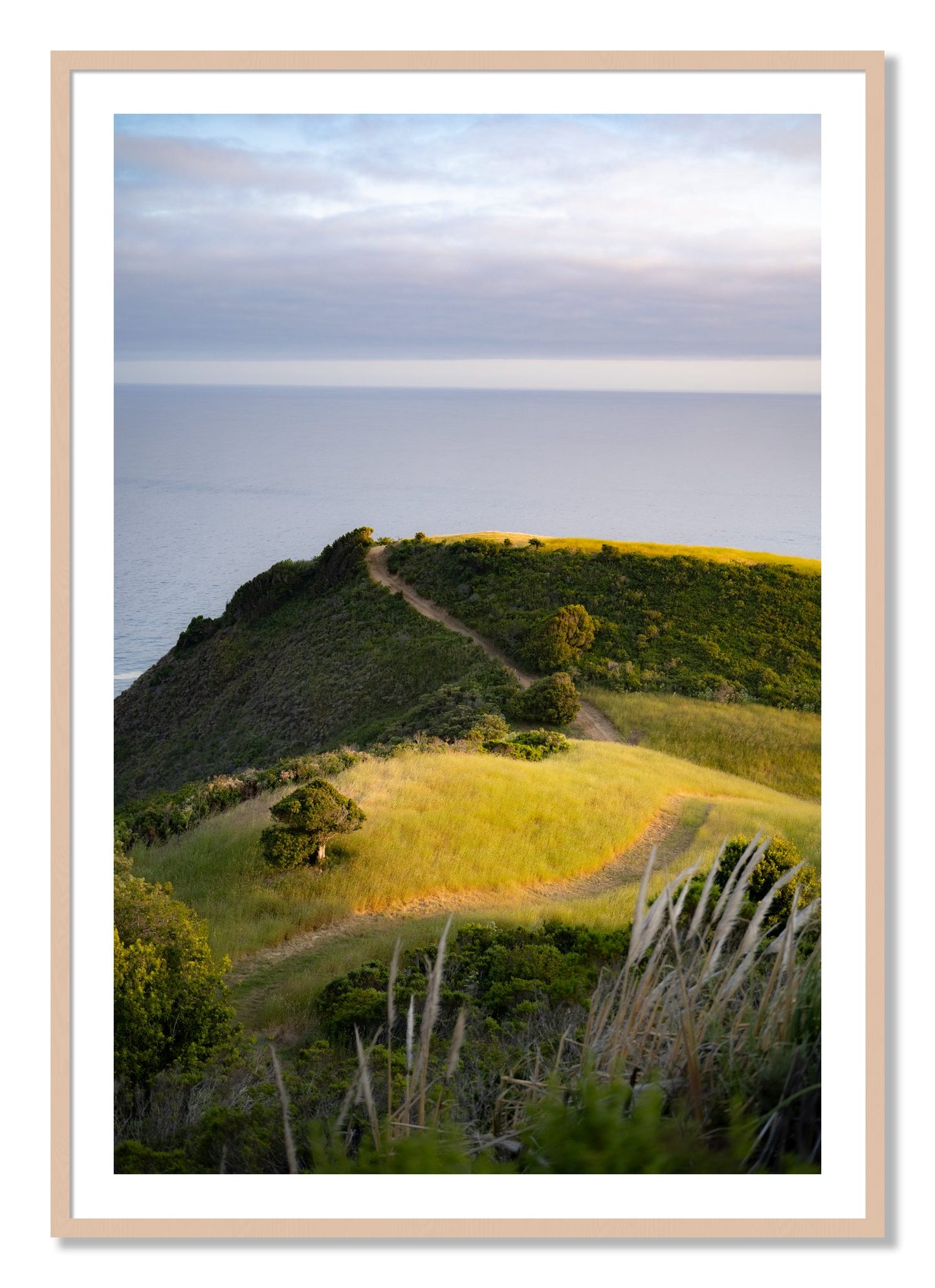 Framed photograph of Golden Trail by Dylan Ozanich, Maple frame, Borders