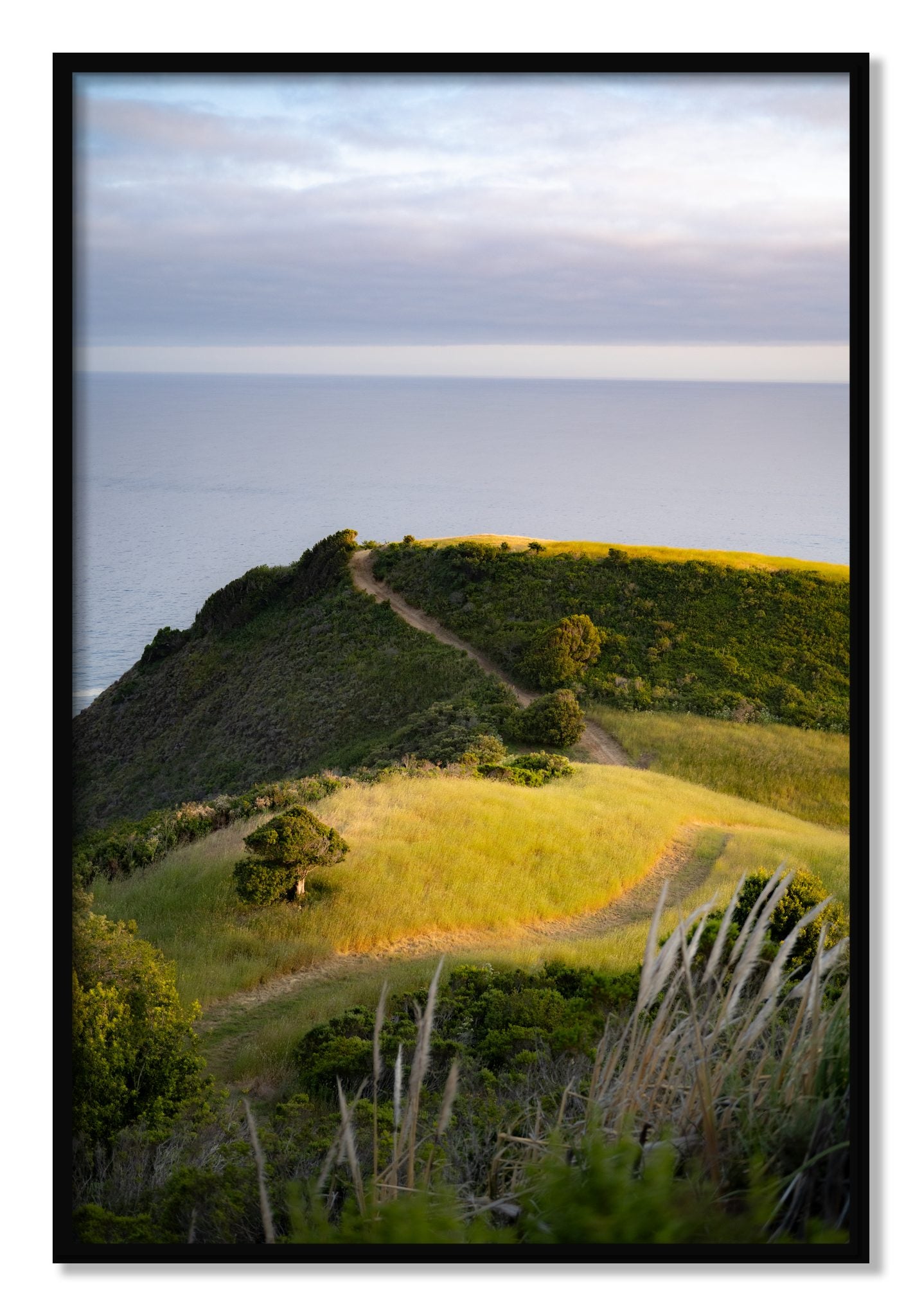 Framed photograph of Golden Trail by Dylan Ozanich, Black frame, Full Bleed