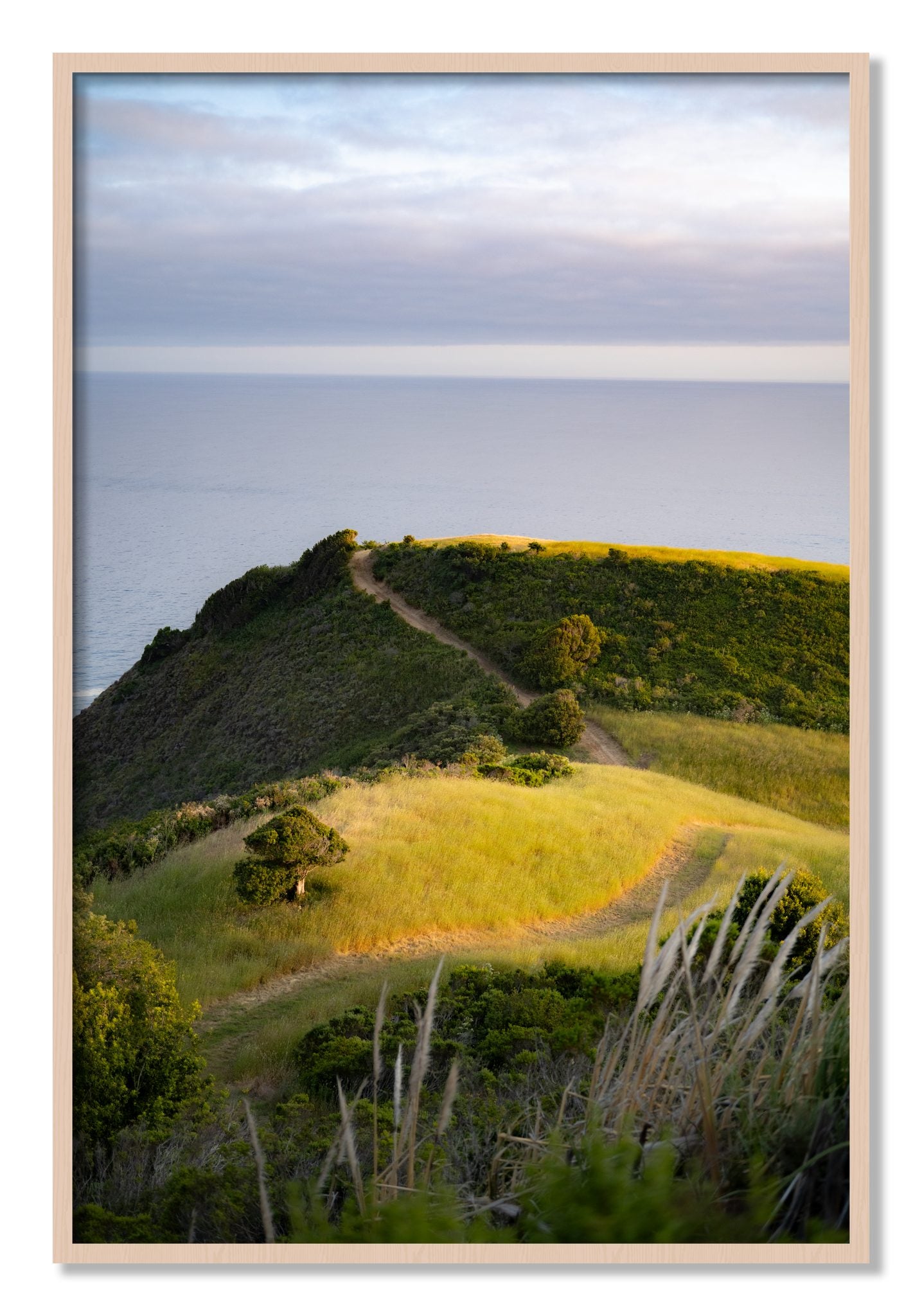 Framed photograph of Golden Trail by Dylan Ozanich, Maple frame, Full Bleed