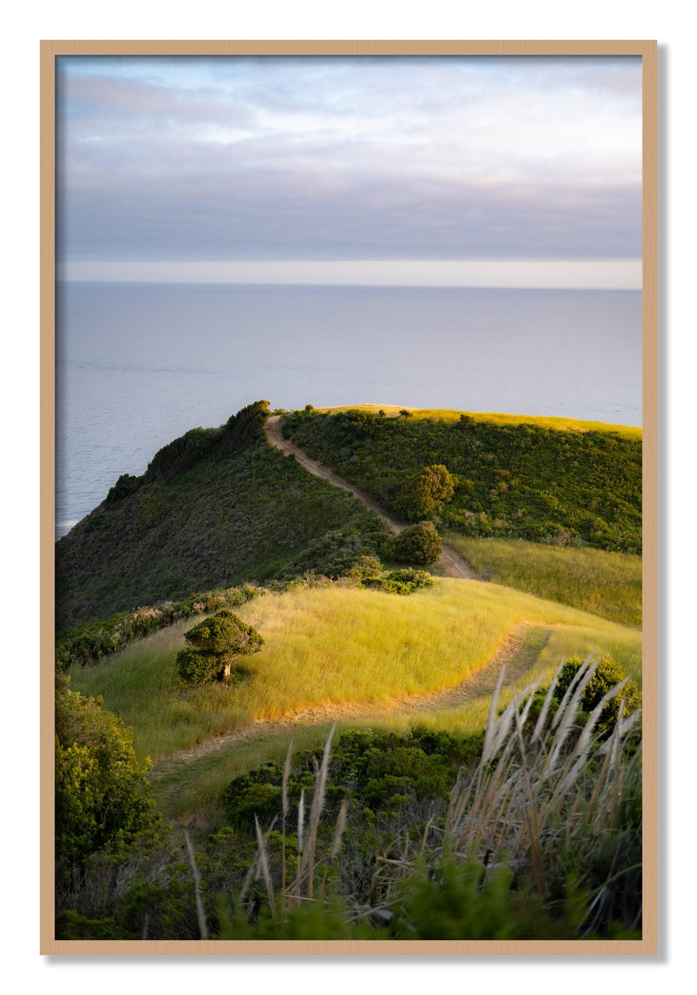 Framed photograph of Golden Trail by Dylan Ozanich, Oak frame, Full Bleed