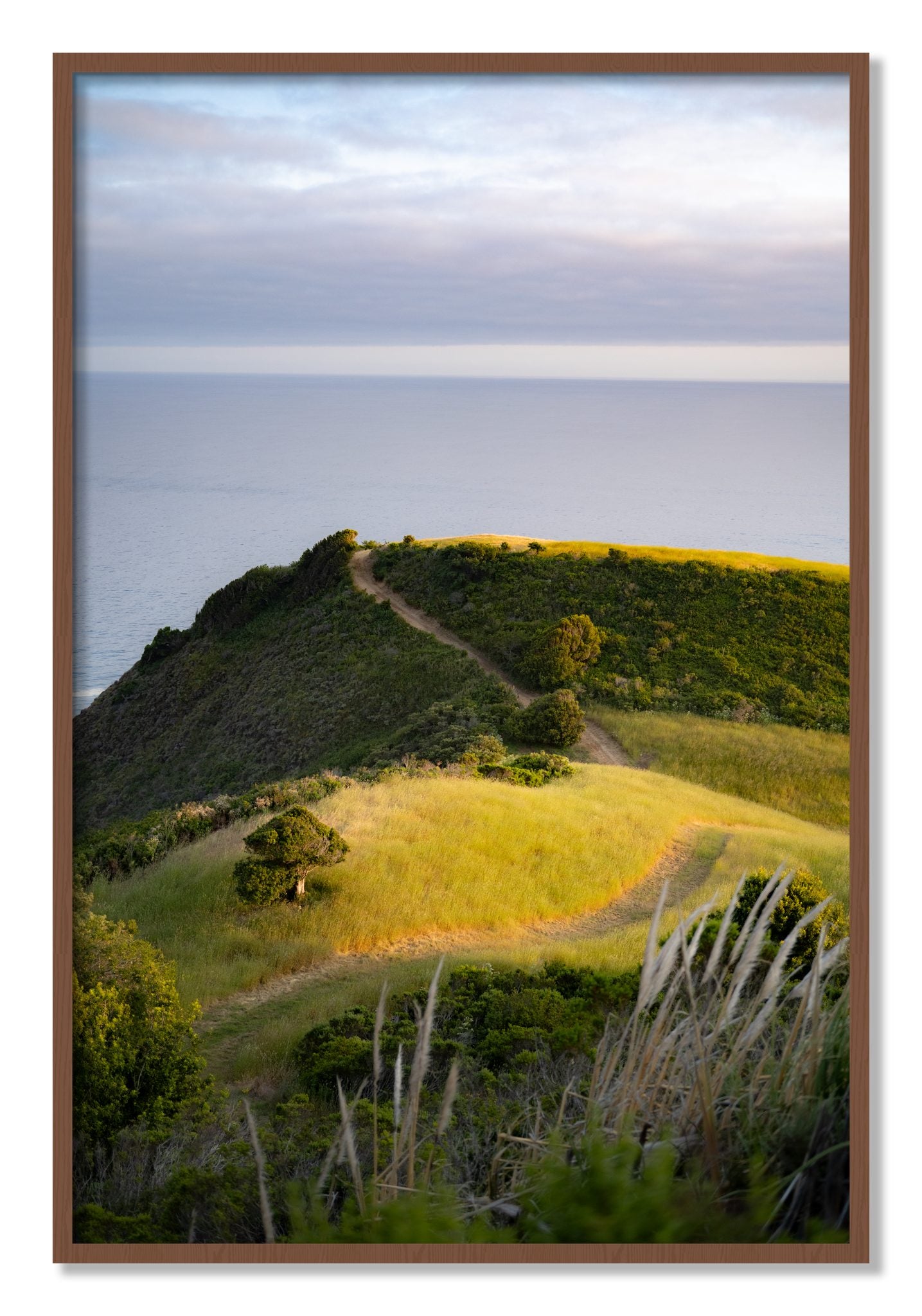Framed photograph of Golden Trail by Dylan Ozanich, Walnut frame, Full Bleed