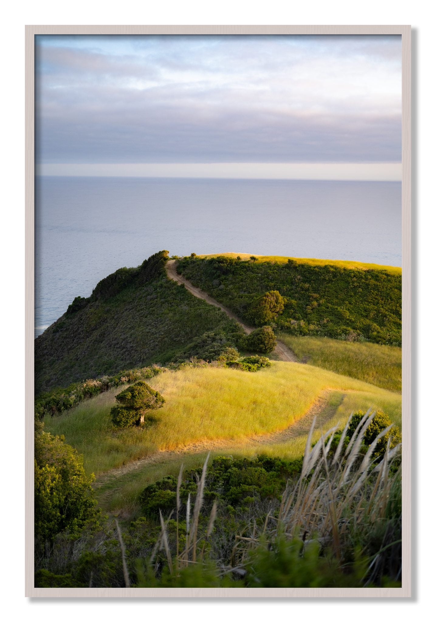 Framed photograph of Golden Trail by Dylan Ozanich, White Maple frame, Full Bleed