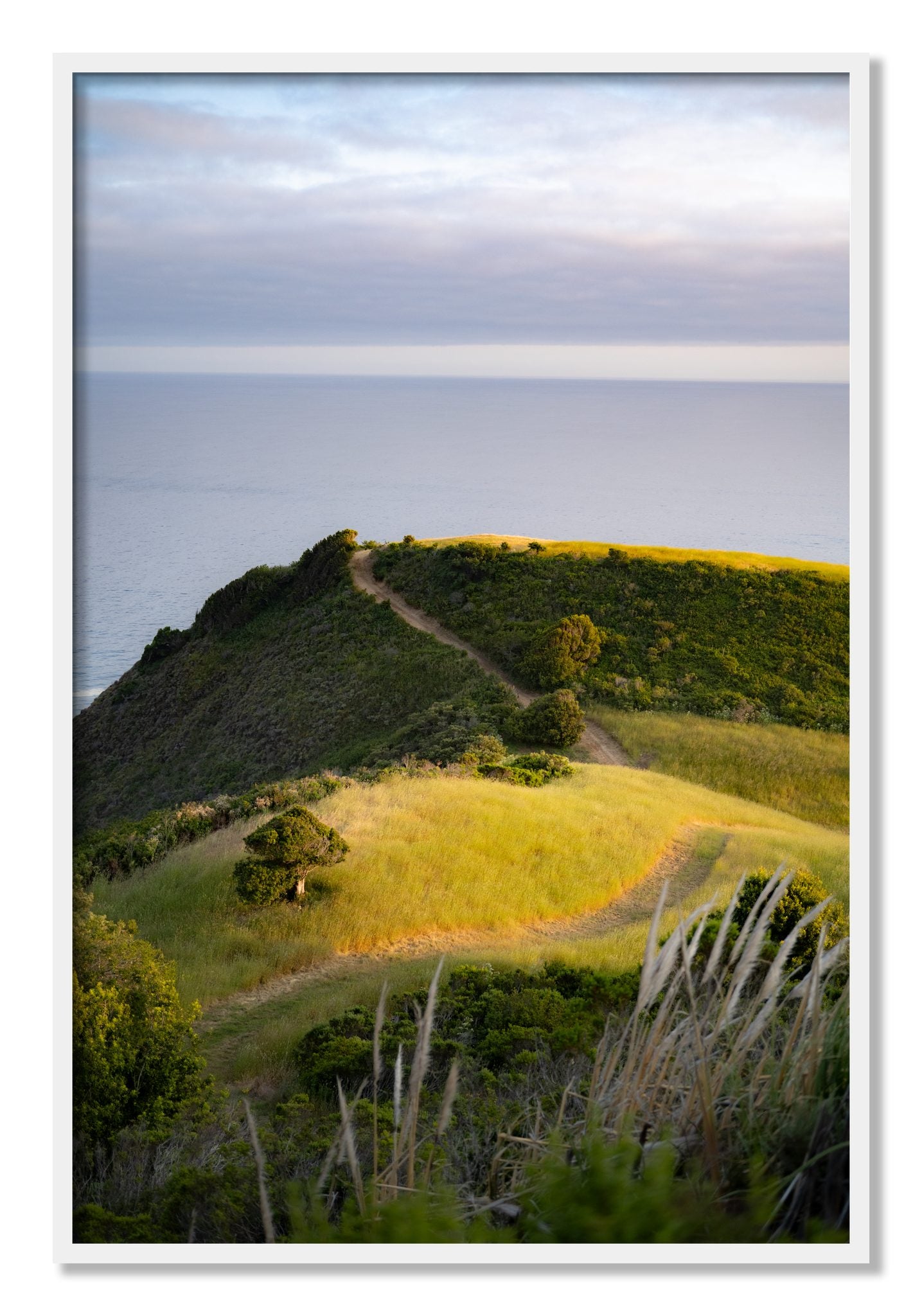 Framed photograph of Golden Trail by Dylan Ozanich, White frame, Full Bleed
