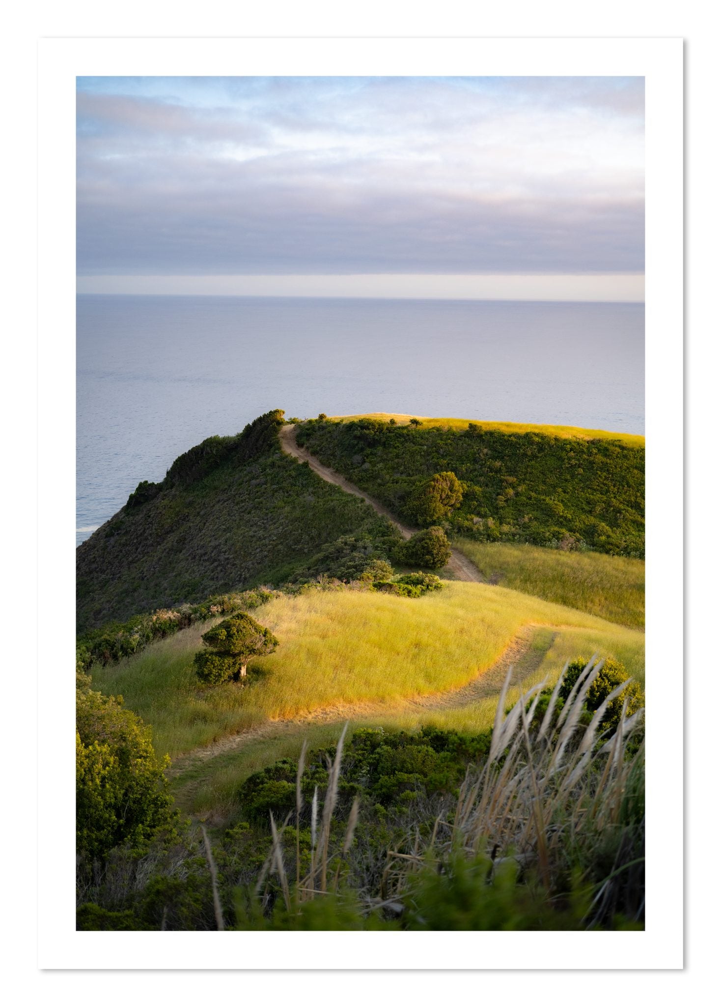 Fine art print of Golden Trail by Dylan Ozanich, unframed