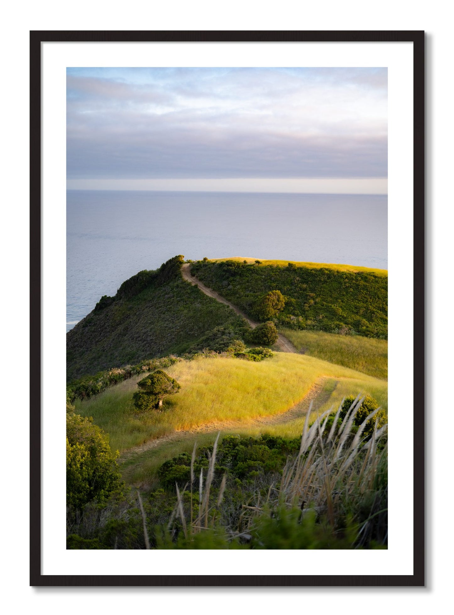 Framed photograph of Golden Trail by Dylan Ozanich, Black Walnut frame, Borders