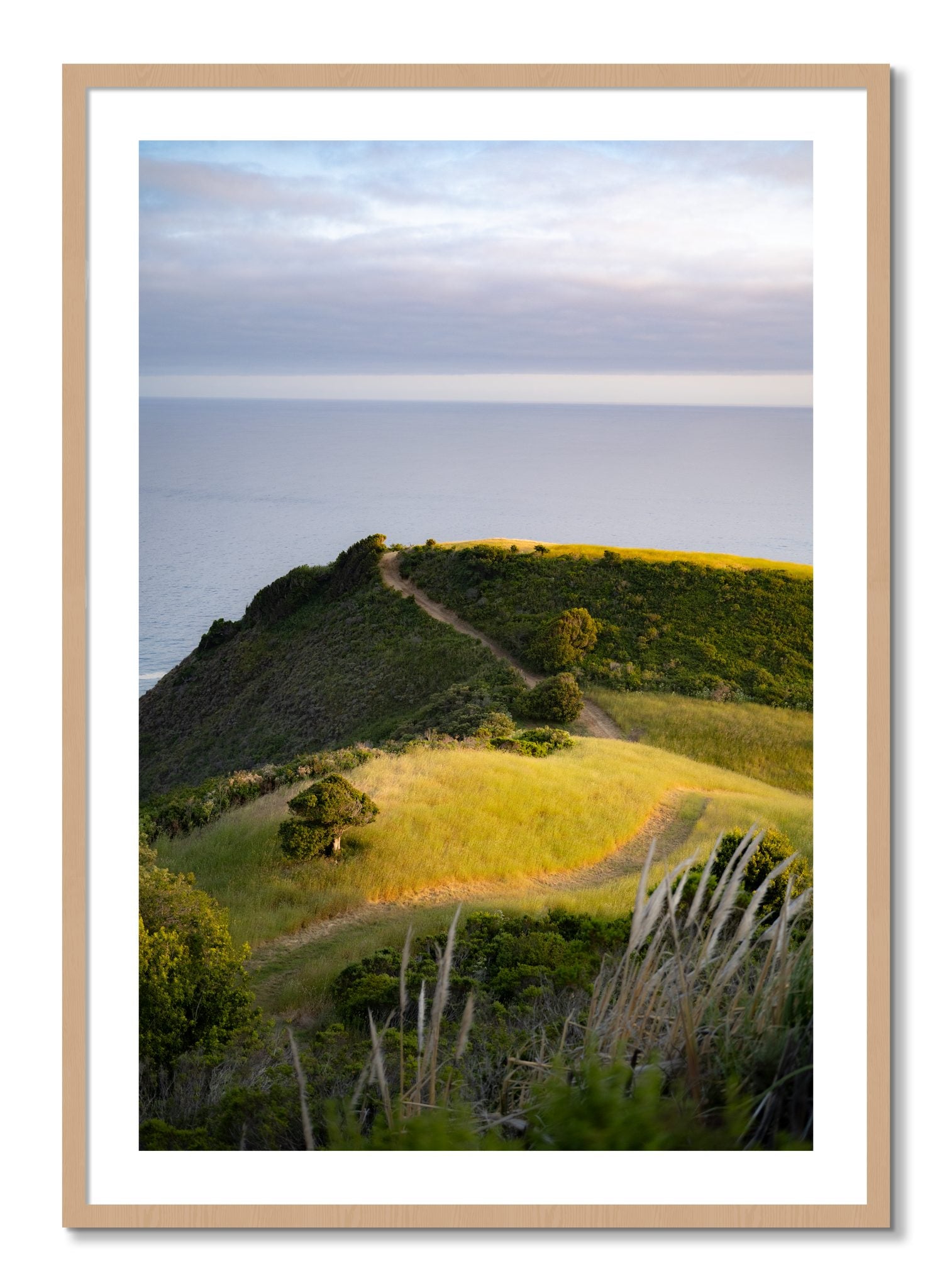 Framed photograph of Golden Trail by Dylan Ozanich, Oak frame, Borders