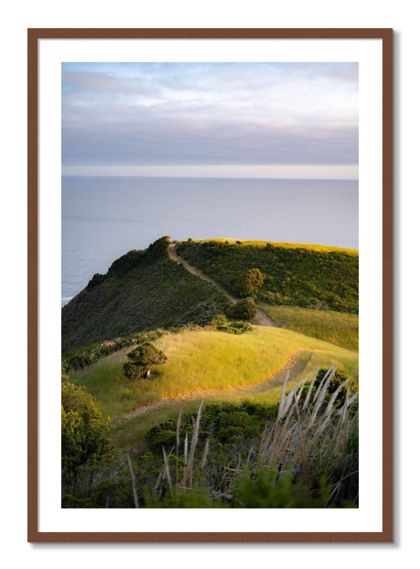 Framed photograph of Golden Trail by Dylan Ozanich, Walnut frame, Borders