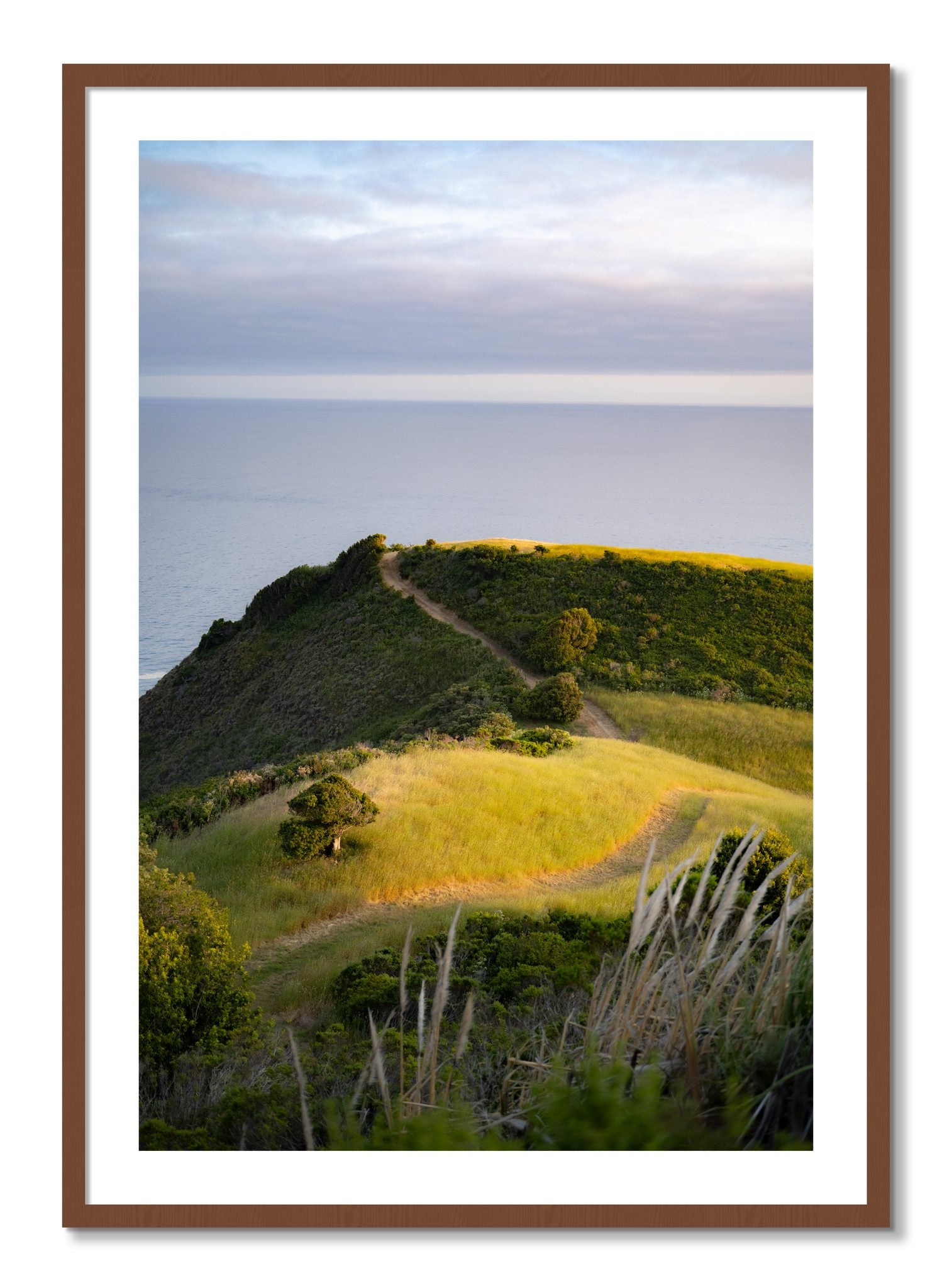 Framed photograph of Golden Trail by Dylan Ozanich, Walnut frame, Borders
