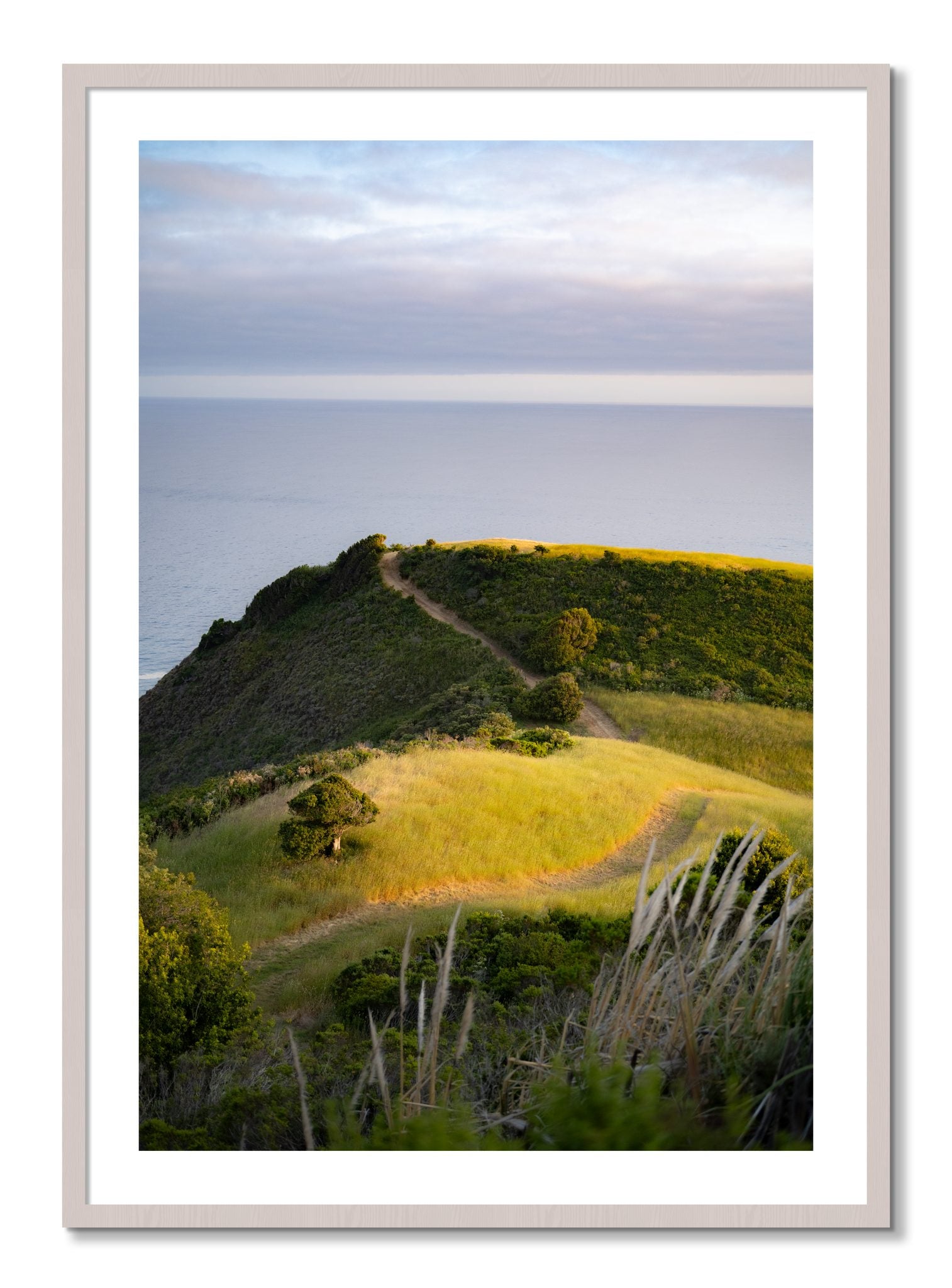 Framed photograph of Golden Trail by Dylan Ozanich, White Maple frame, Borders