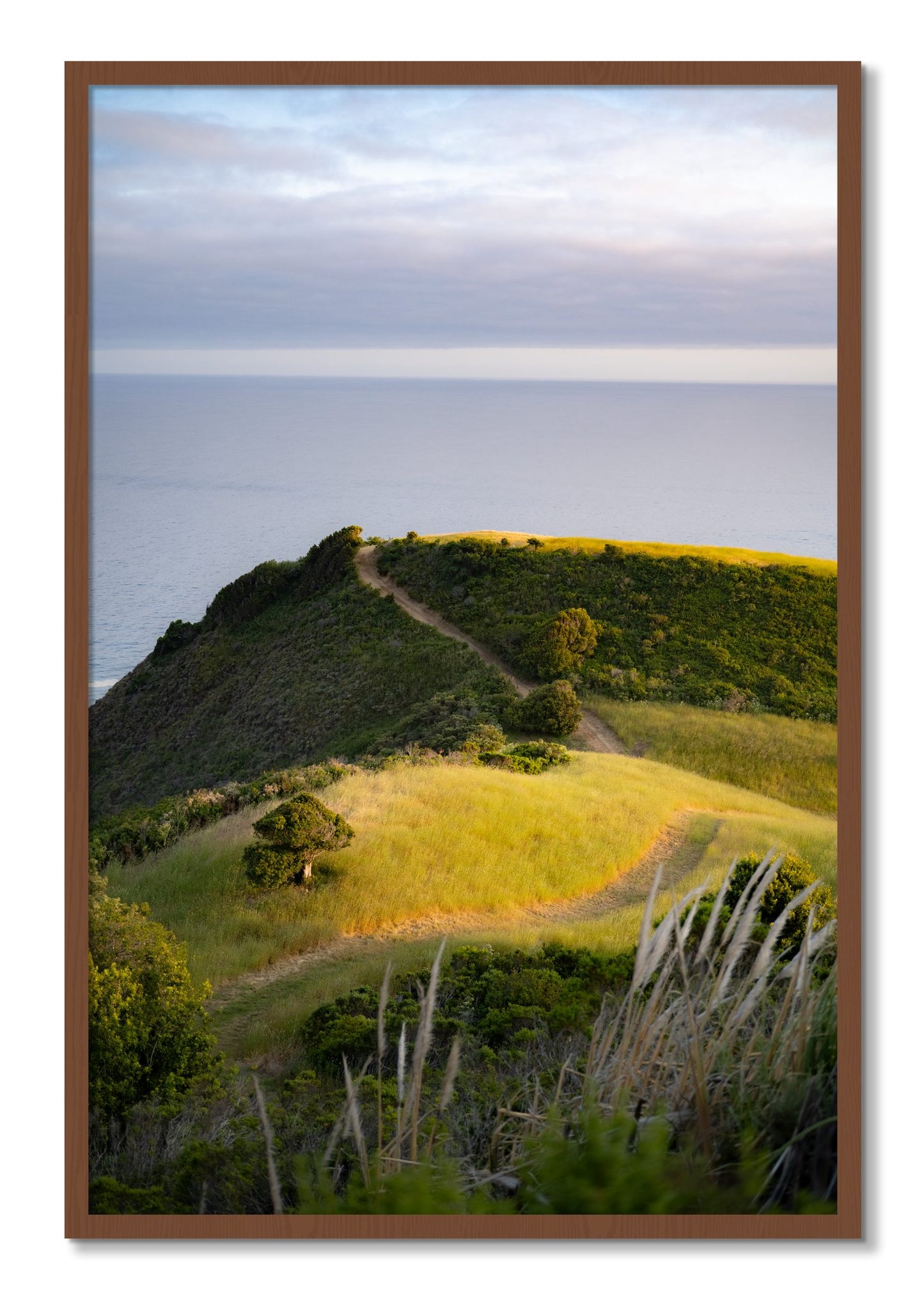 Framed photograph of Golden Trail by Dylan Ozanich, Walnut frame, Full Bleed