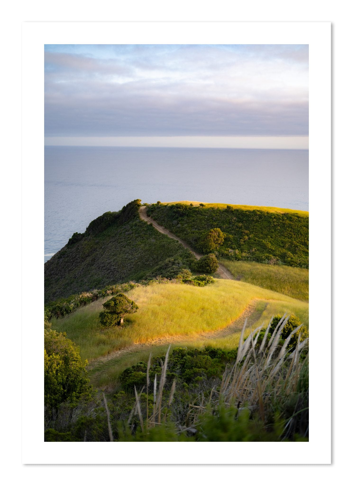Fine art print of Golden Trail by Dylan Ozanich, unframed