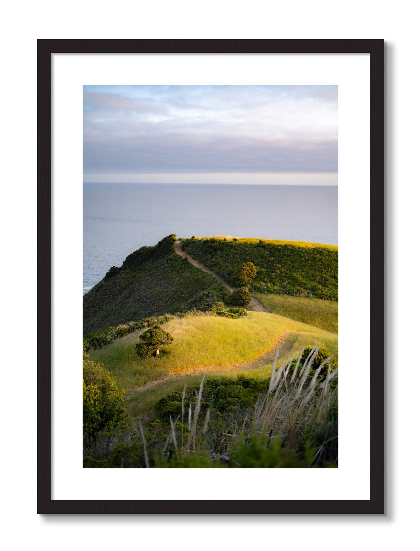 Framed photograph of Golden Trail by Dylan Ozanich, Black frame, Borders
