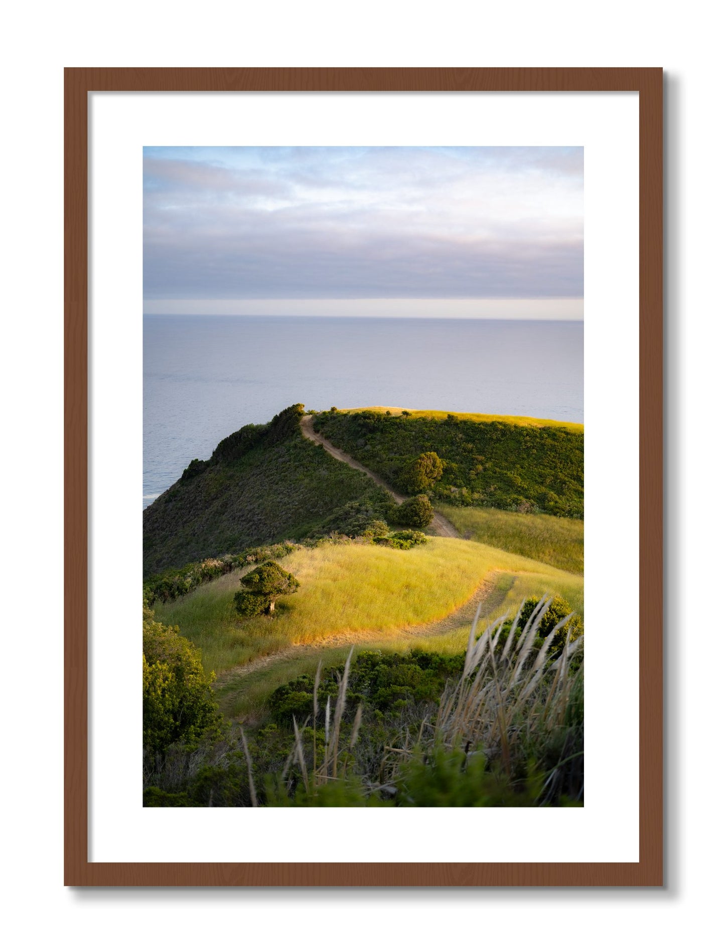 Framed photograph of Golden Trail by Dylan Ozanich, Walnut frame, Borders