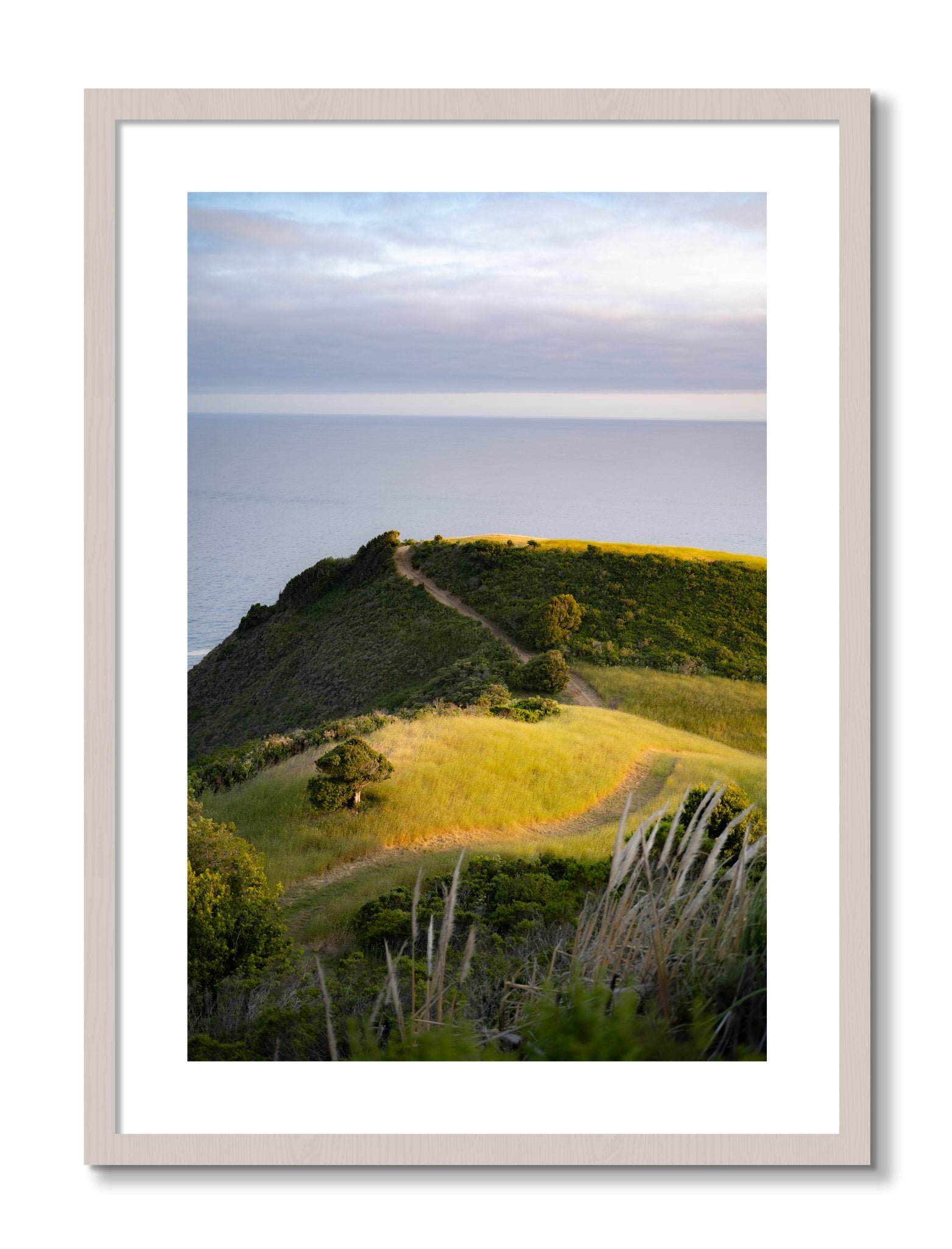 Framed photograph of Golden Trail by Dylan Ozanich, White Maple frame, Borders