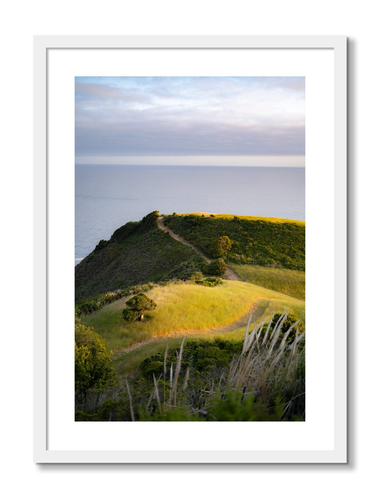 Framed photograph of Golden Trail by Dylan Ozanich, White frame, Borders