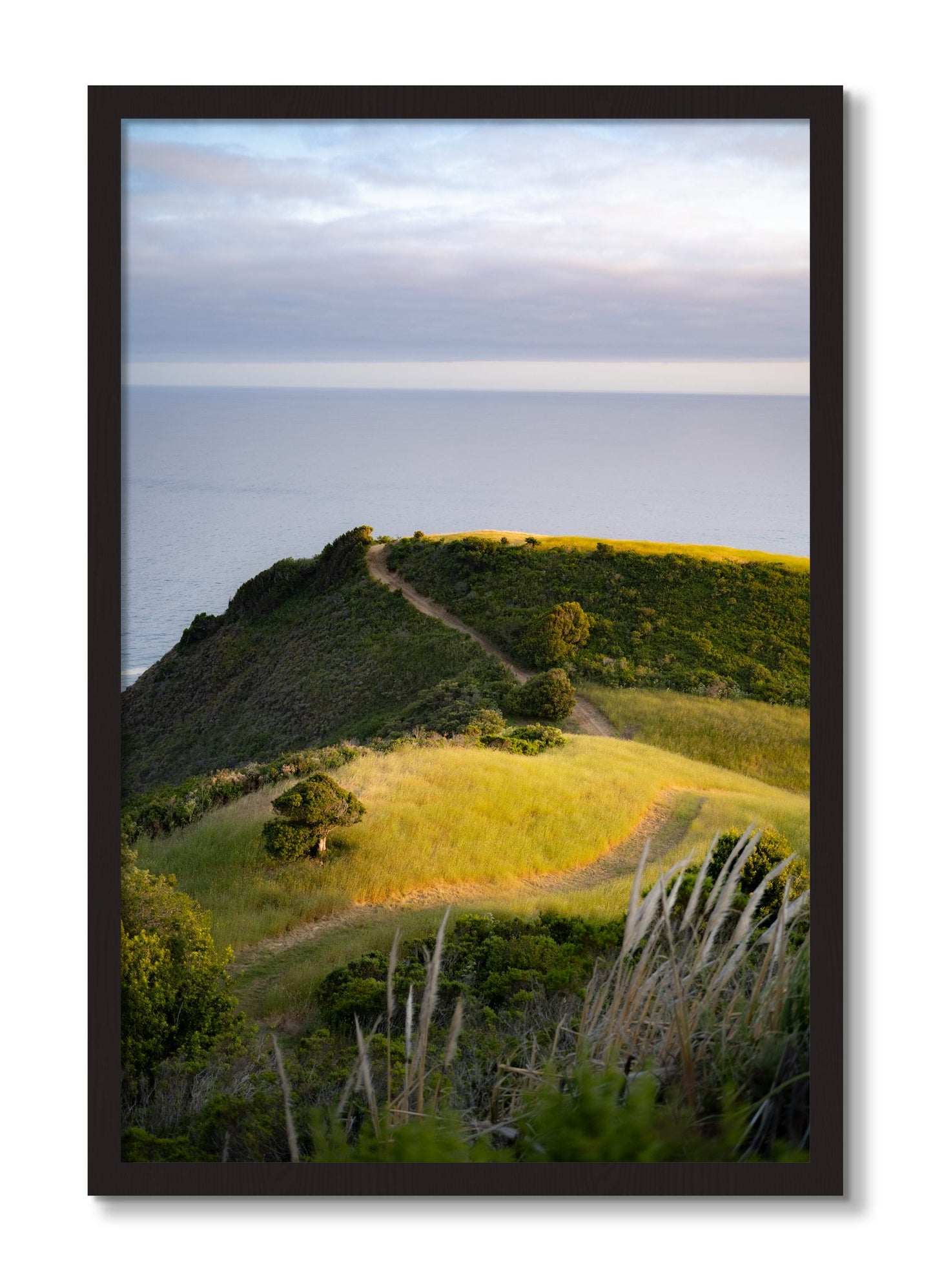 Framed photograph of Golden Trail by Dylan Ozanich, Black Walnut frame, Full Bleed