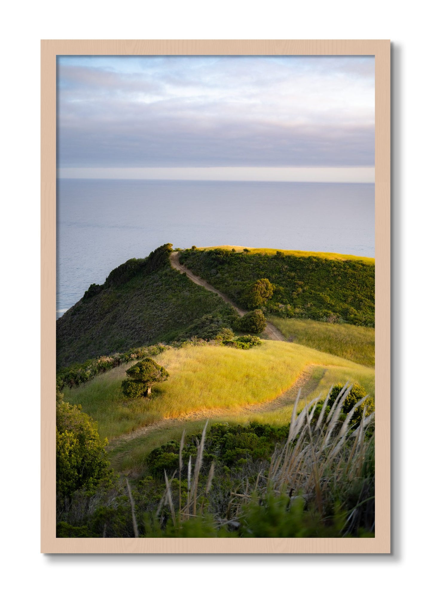 Framed photograph of Golden Trail by Dylan Ozanich, Maple frame, Full Bleed