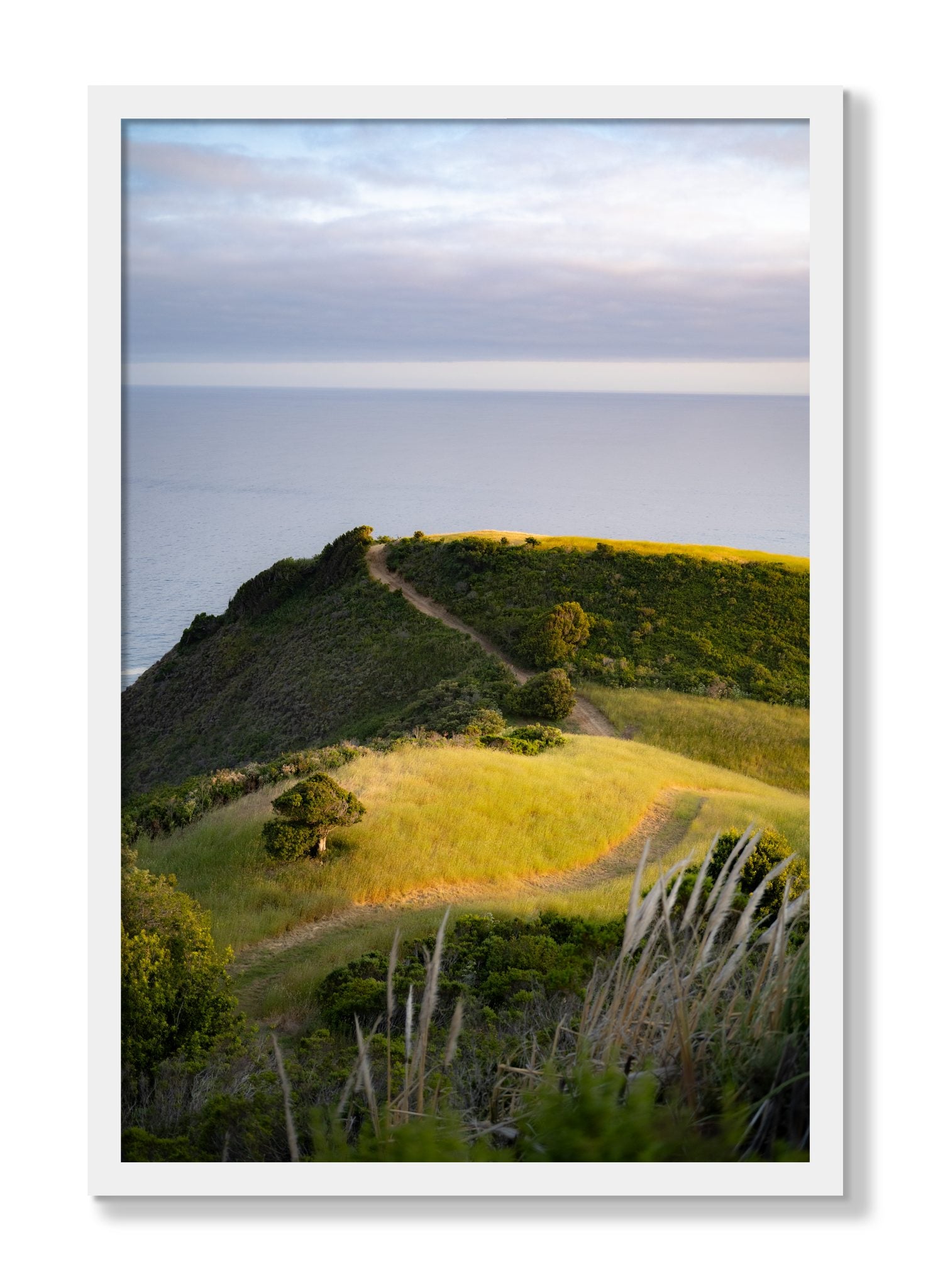 Framed photograph of Golden Trail by Dylan Ozanich, White frame, Full Bleed