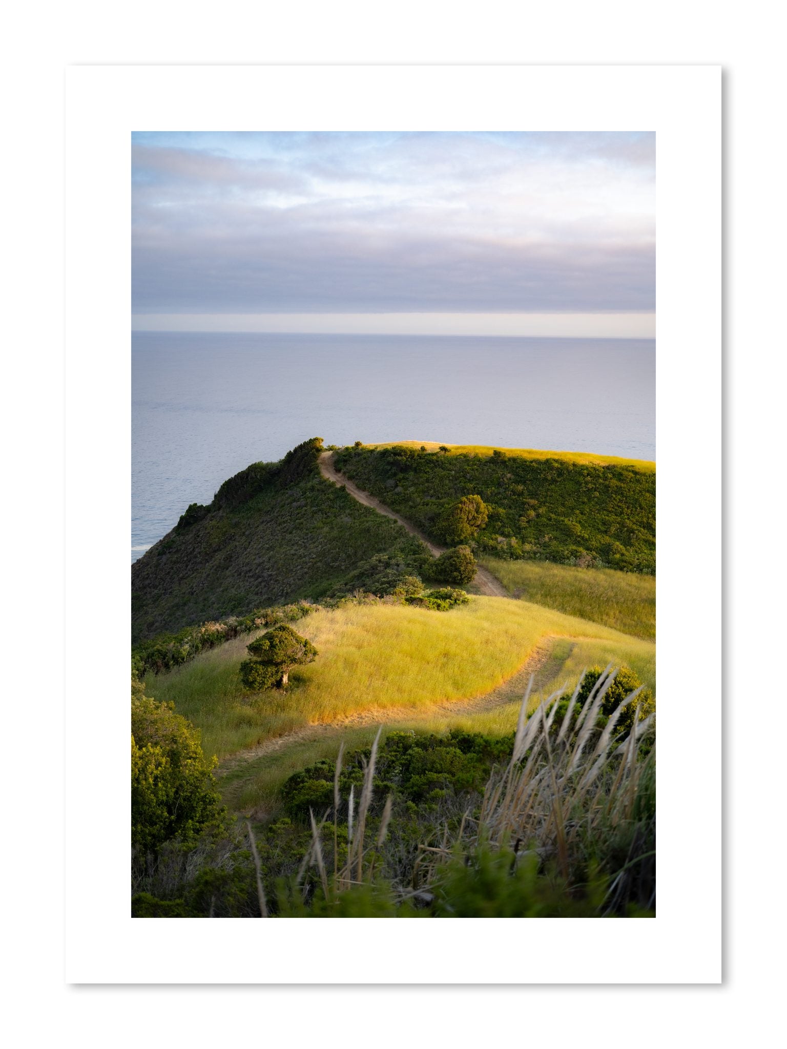 Fine art print of Golden Trail by Dylan Ozanich, unframed