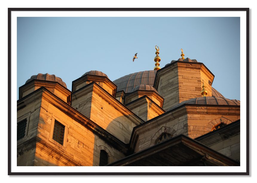 Istanbul by Dylan Ozanich, 48×72 print with a White Border in a Black Walnut frame