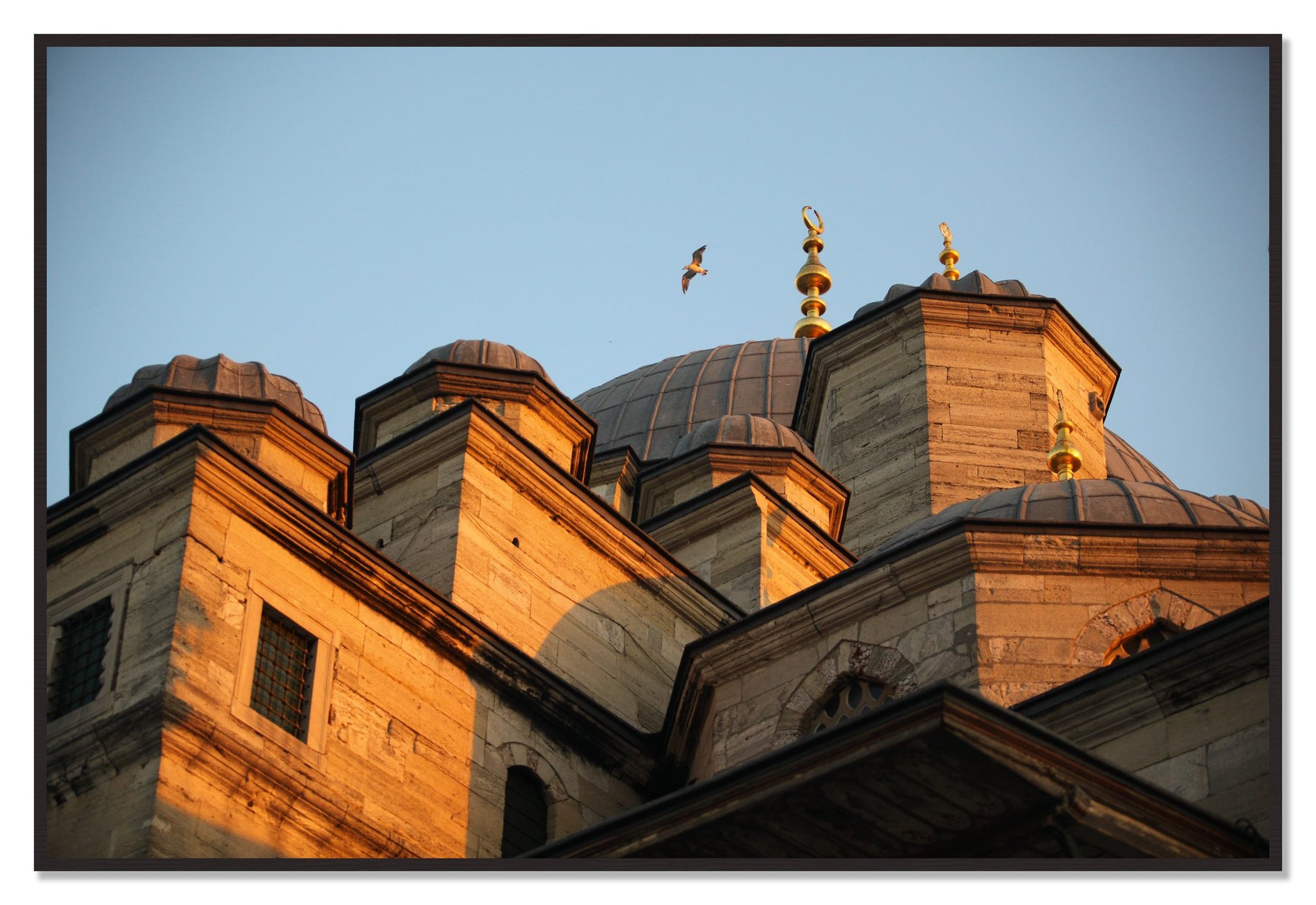 Istanbul by Dylan Ozanich, 48×72 Full Bleed Print in a Black Walnut frame
