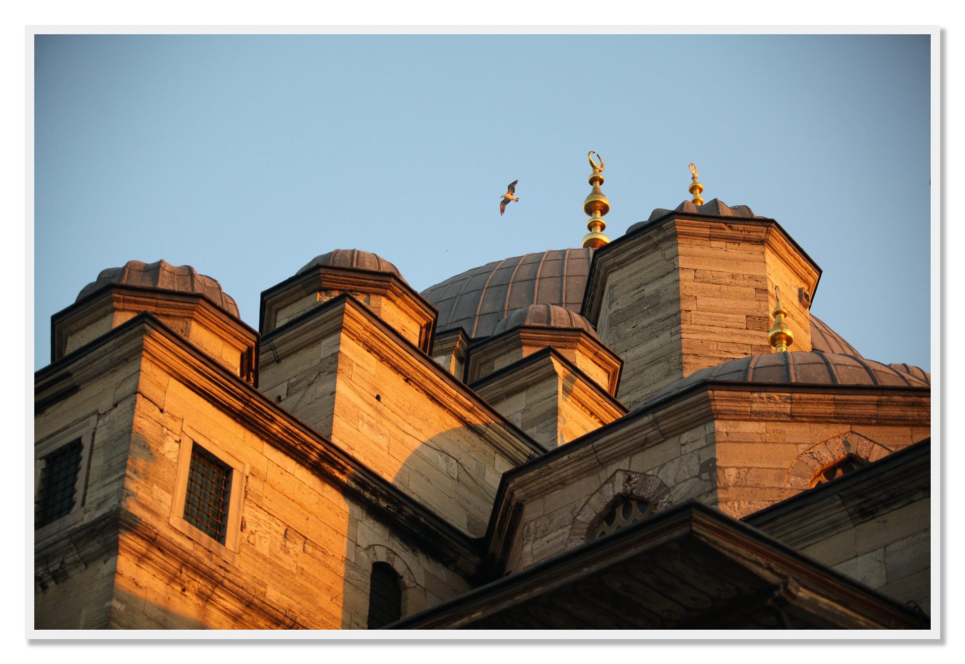 Istanbul by Dylan Ozanich, 48×72 Full Bleed Print in a White frame
