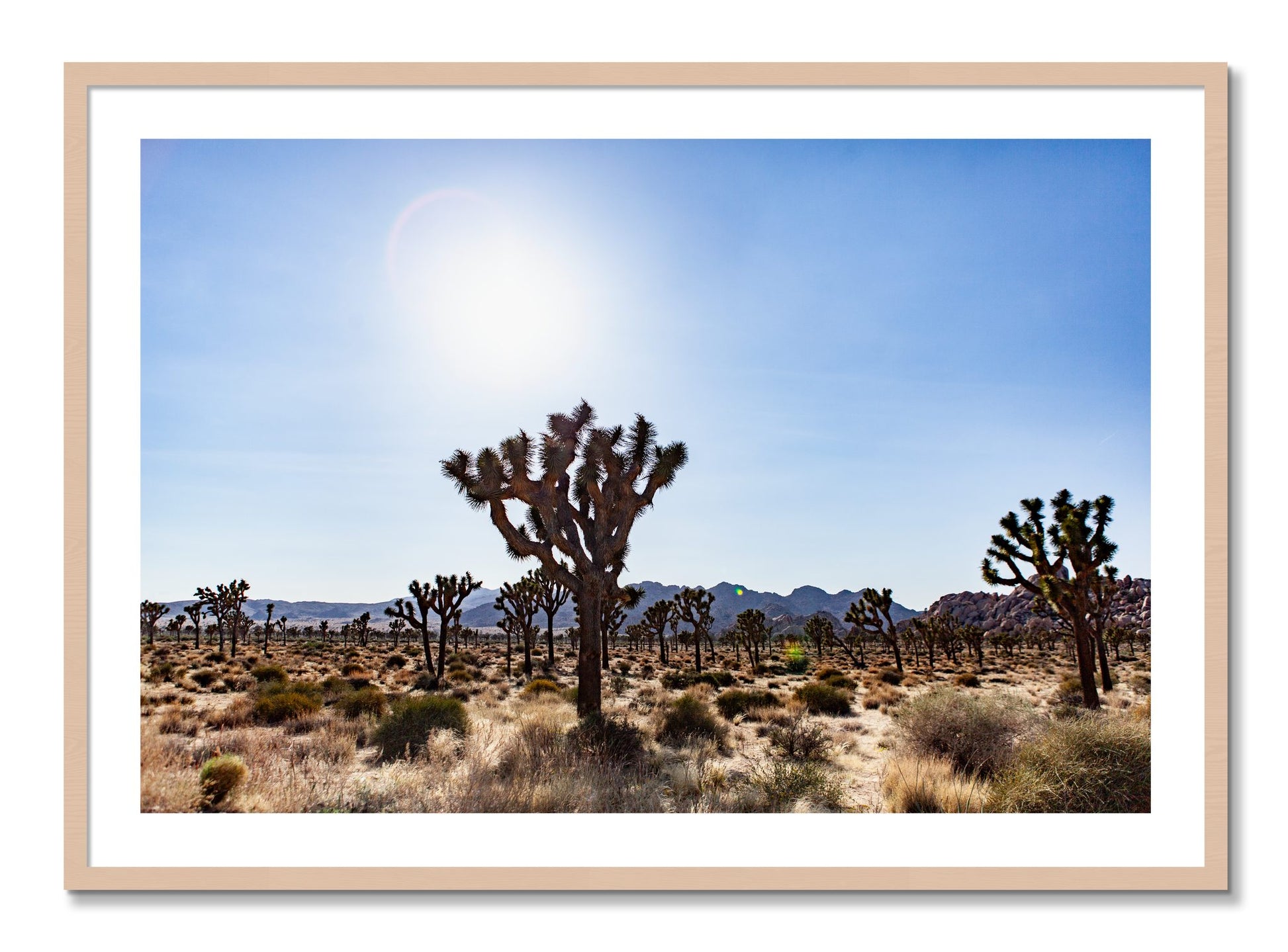 Framed photograph of Joshua Tree by Dylan Ozanich, Maple frame, Borders
