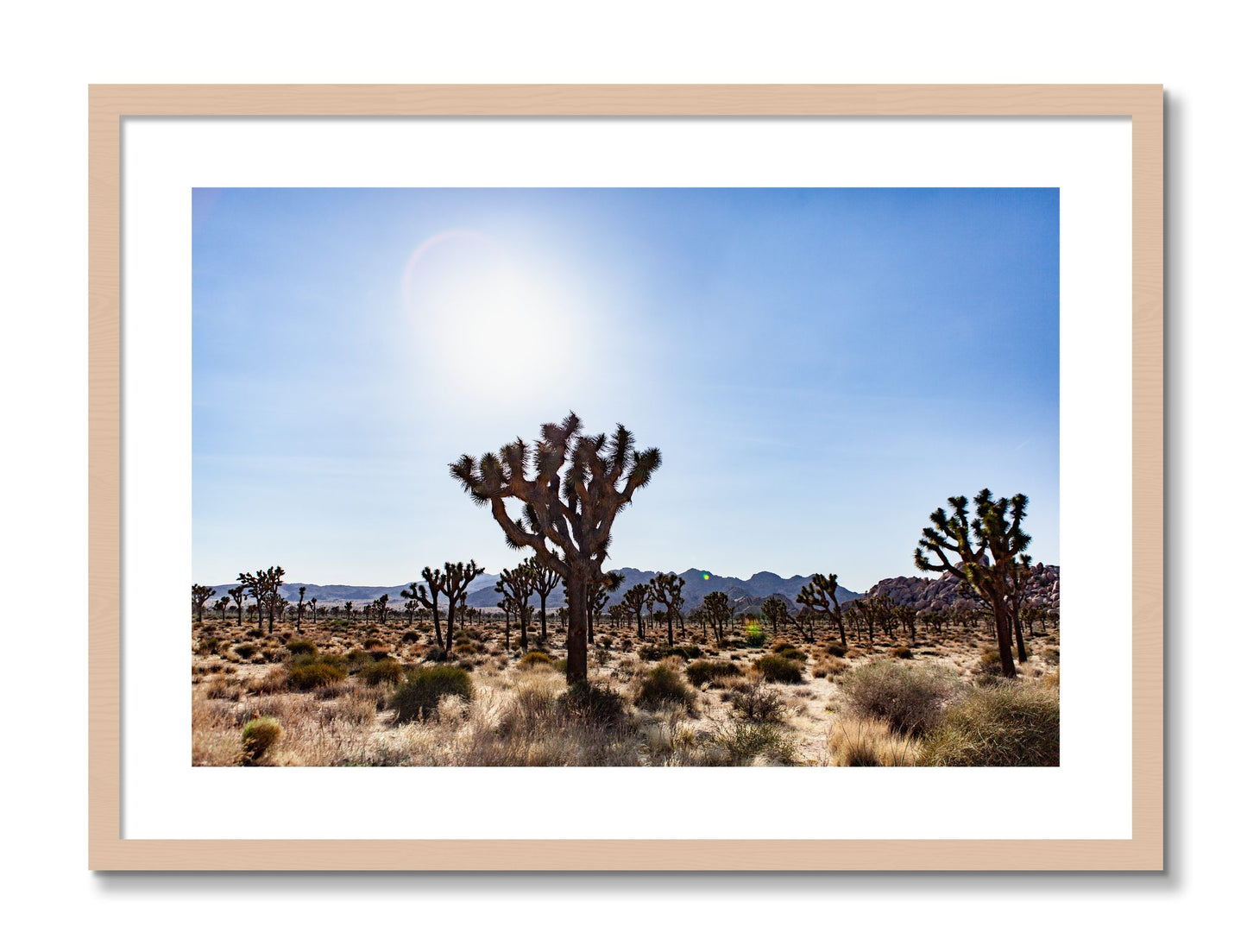 Framed photograph of Joshua Tree by Dylan Ozanich, Maple frame, Borders