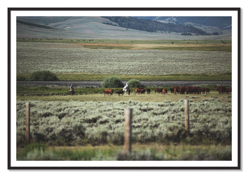 Montana by Dylan Ozanich, 48×72 print with a White Border in a Black Walnut frame
