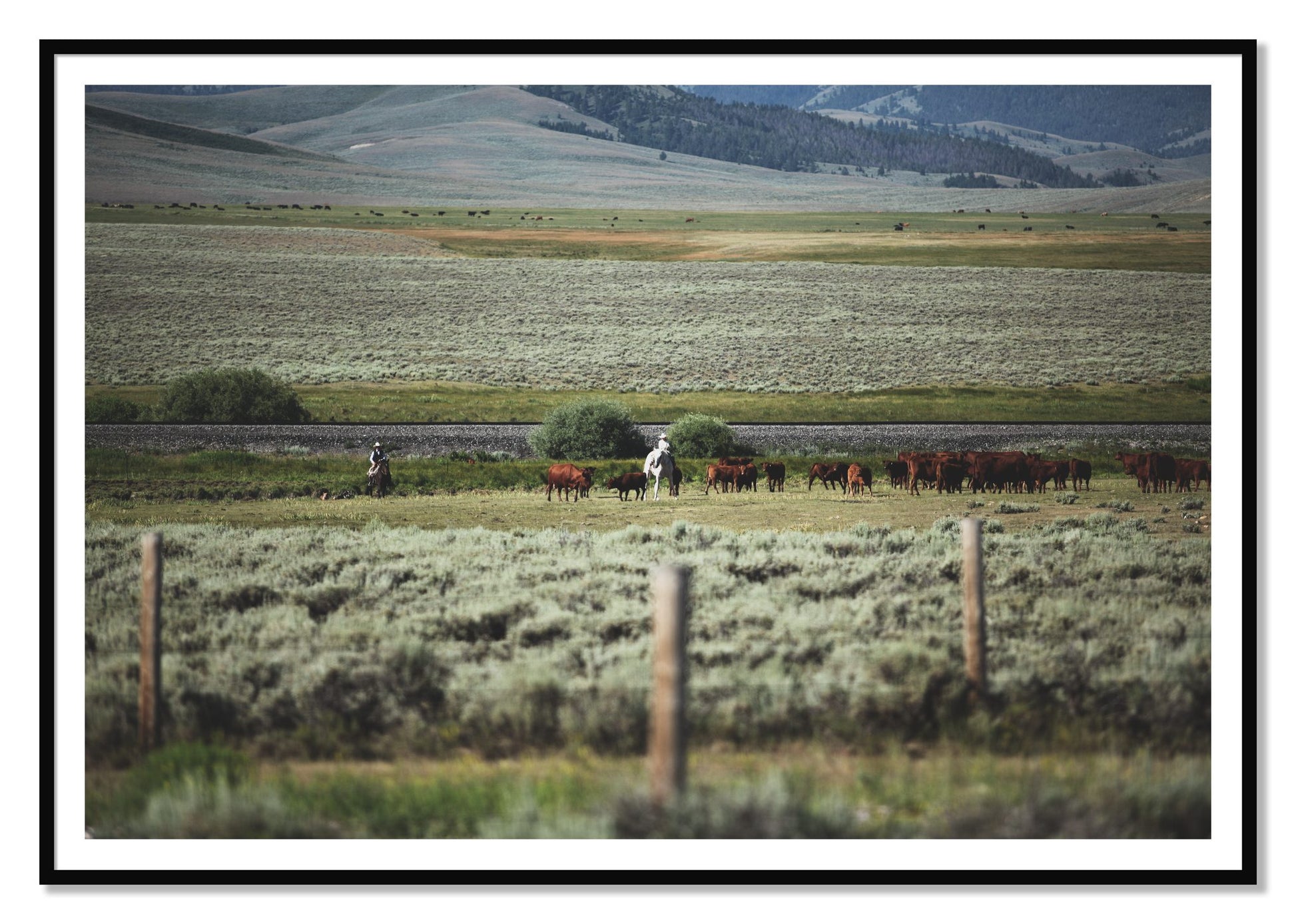 Montana by Dylan Ozanich, 48×72 print with a White Border in a Black frame